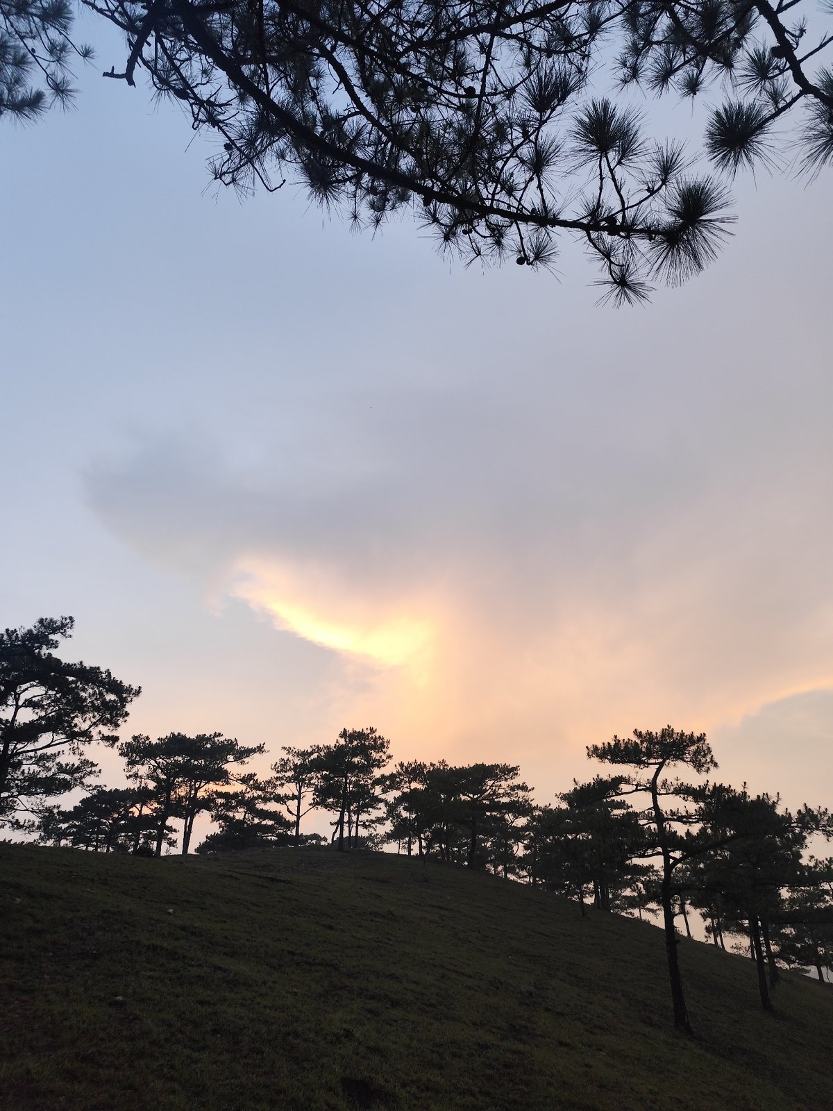 Serene hillside landscape documented in Lạc Dương, Vietnam
