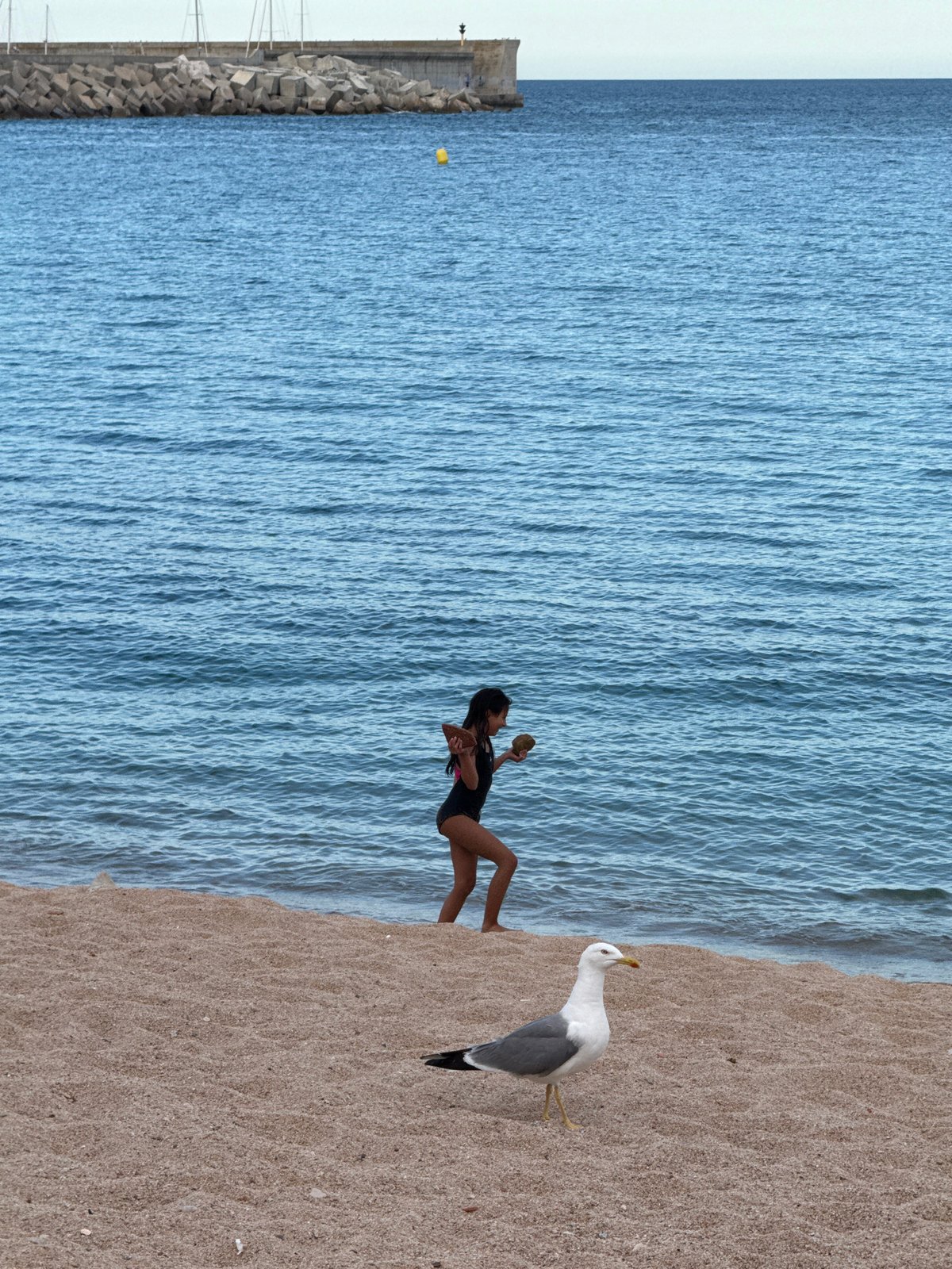 A busy summer afternoon along the Blanes waterfront