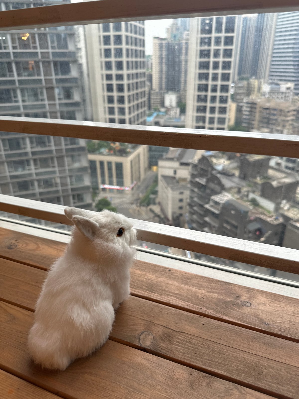 Interior scenes with city views documented in Yuzhong District