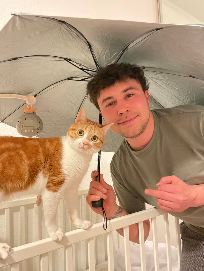 Cat photography session with props captured in Bar, Montenegro