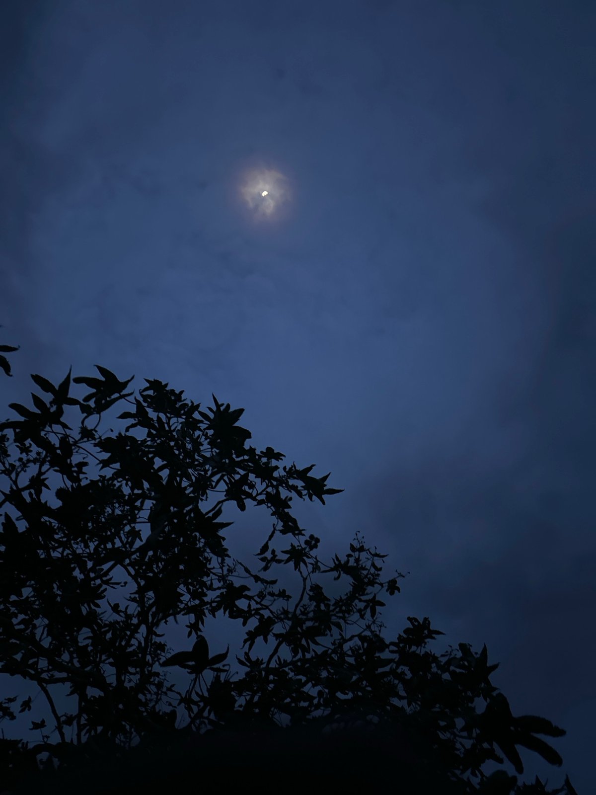 Quiet twilight moments captured beneath crescent moon in Bar Gada