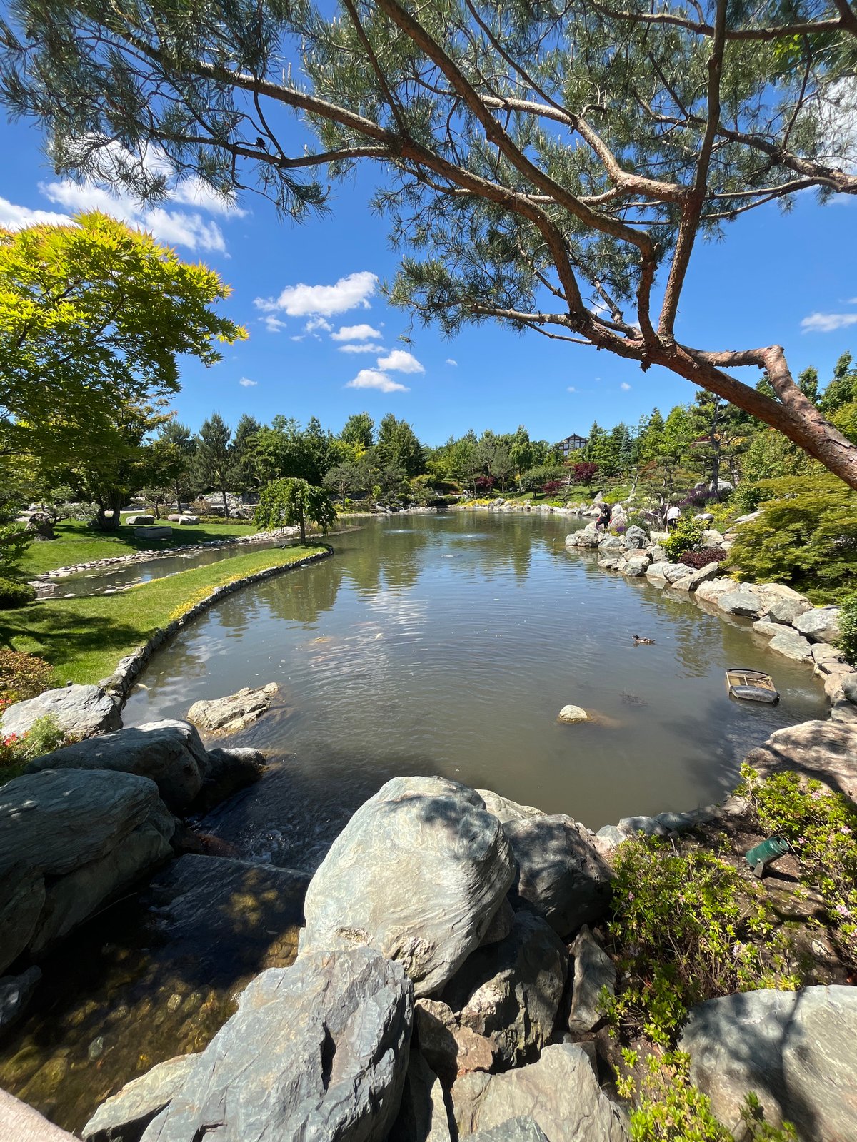 Morning visit captured at Japanese garden in Krasnodar, Russia
