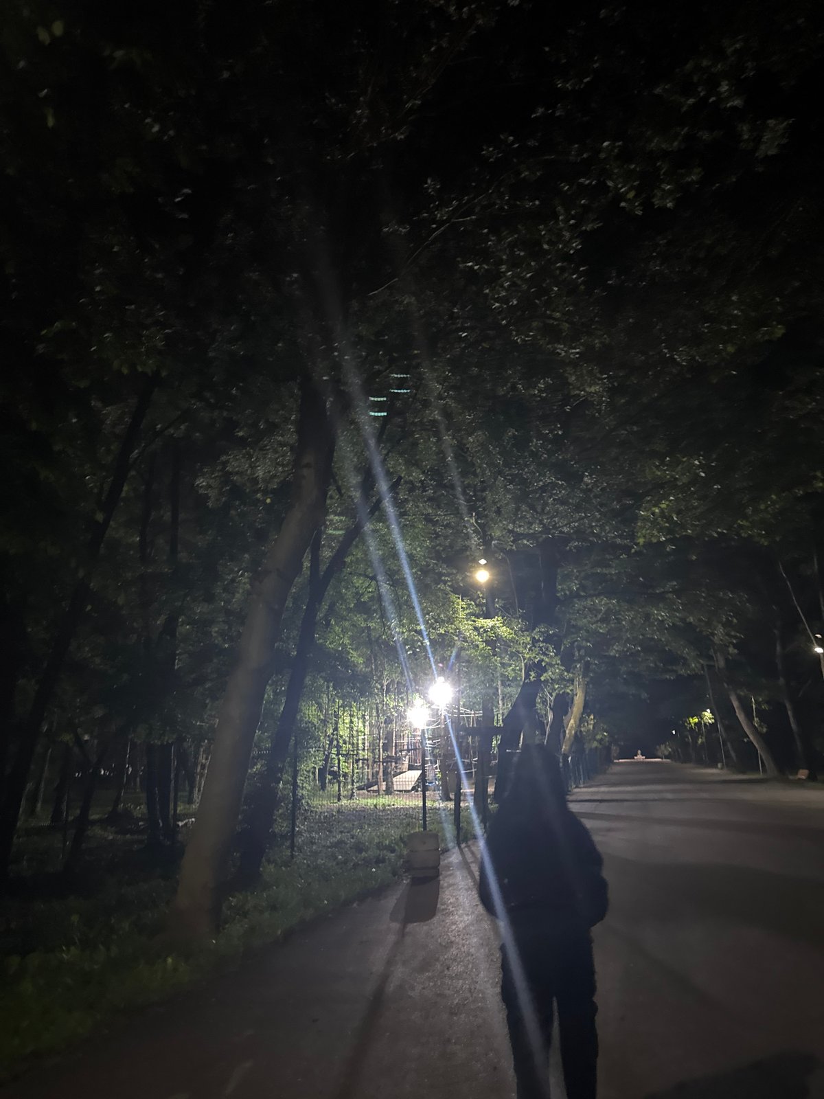 Friends capture playful selfie on nighttime park path