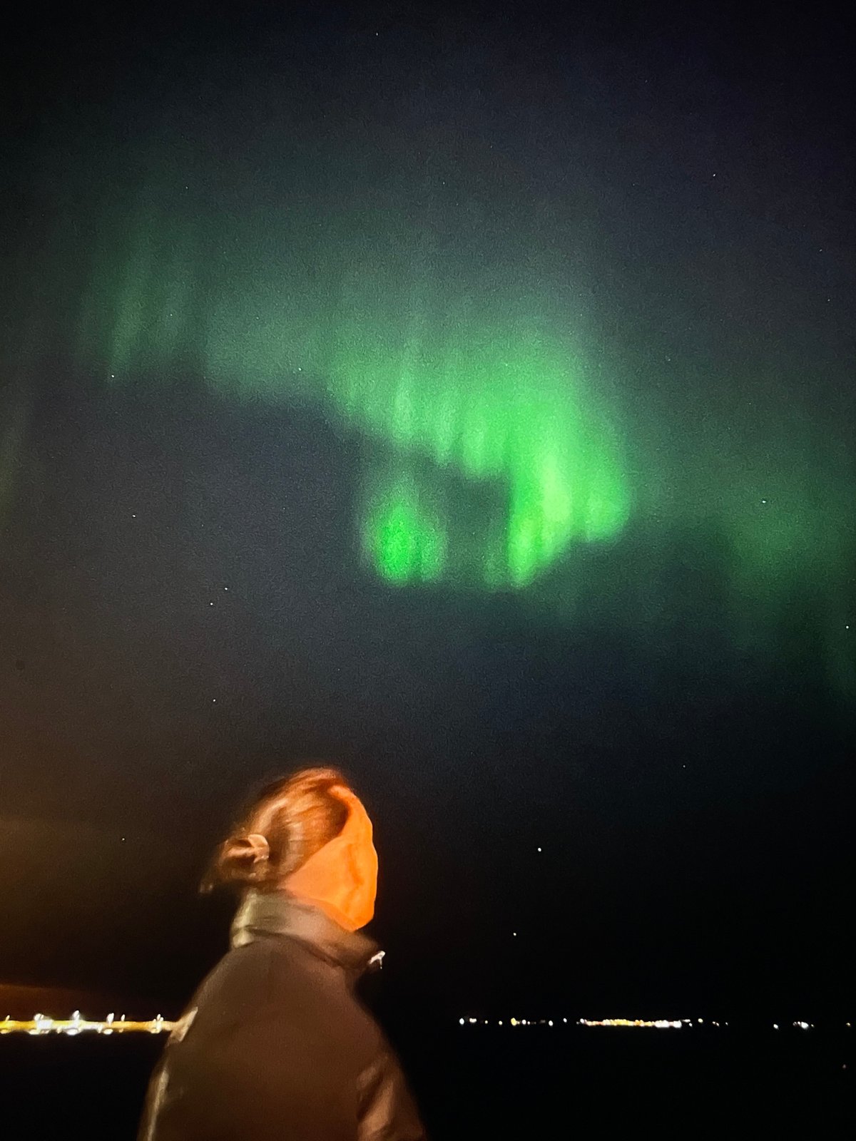Aurora viewer captured observing green northern lights display