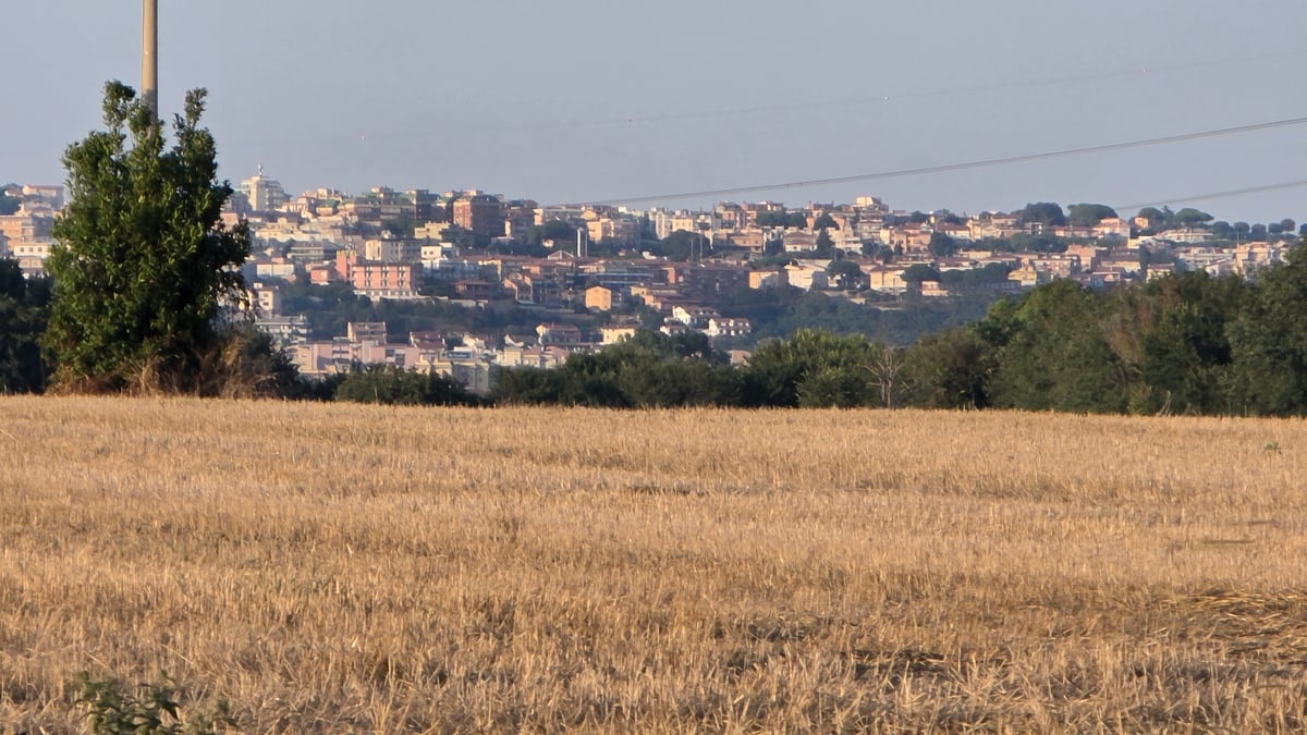Golden wheat fields frame Tarquinia's sun-bleached hilltop skyline