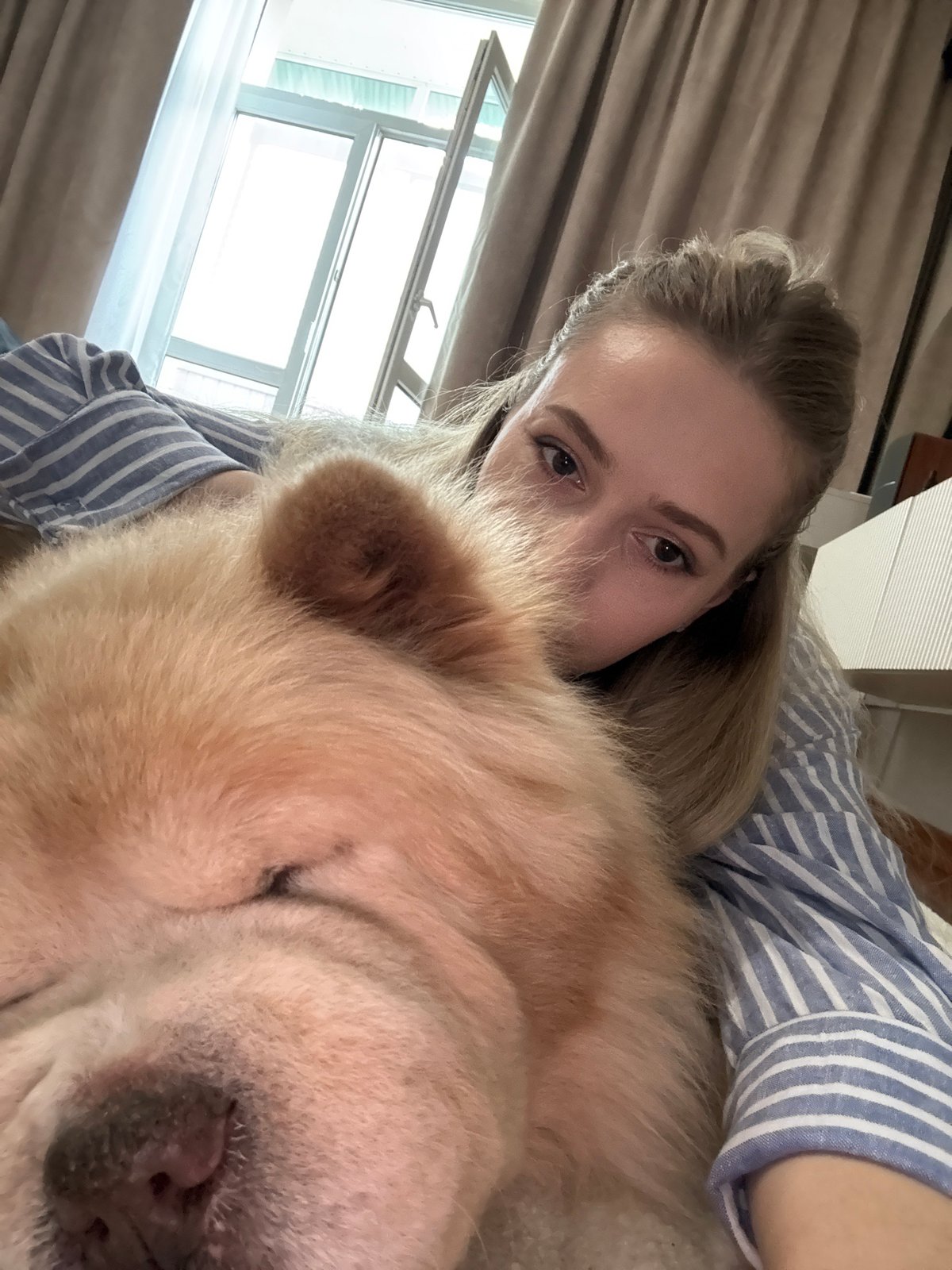 Person rests with sleeping Chow Chow in Moscow apartment