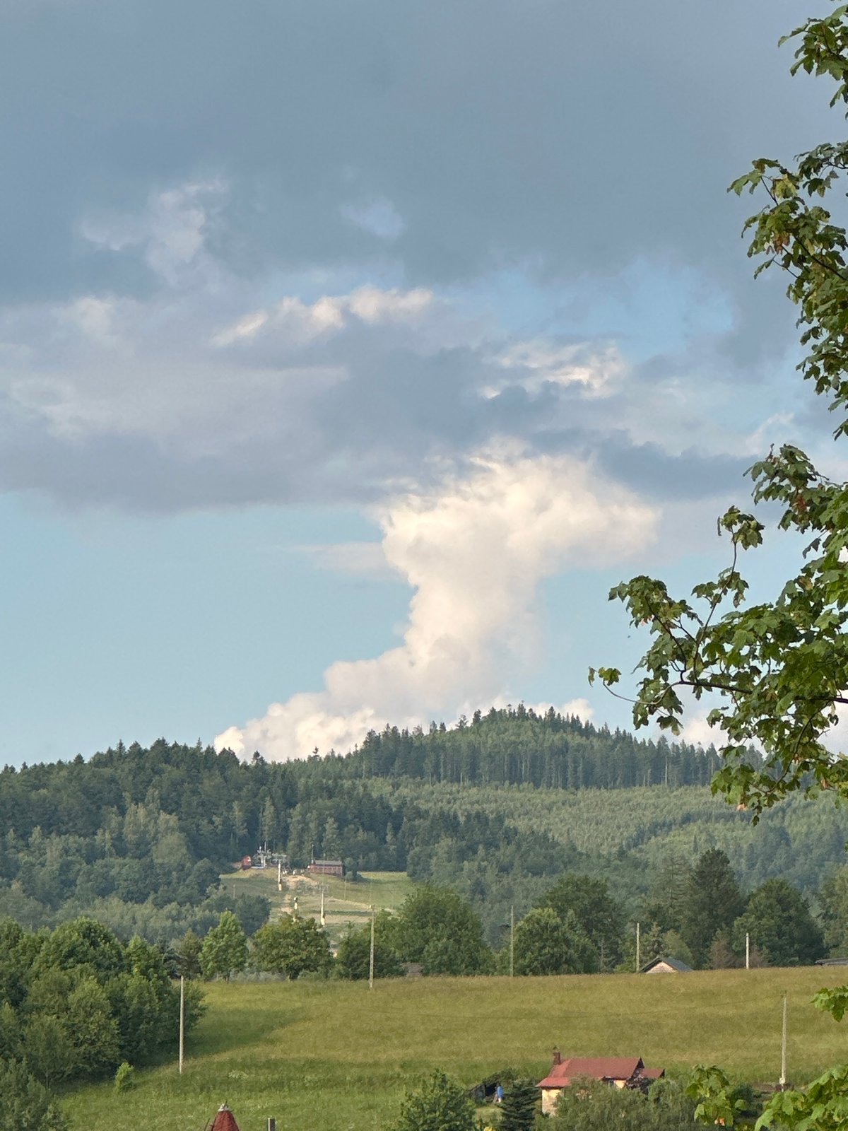Toddler takes the wheel in Wisła's forested hills