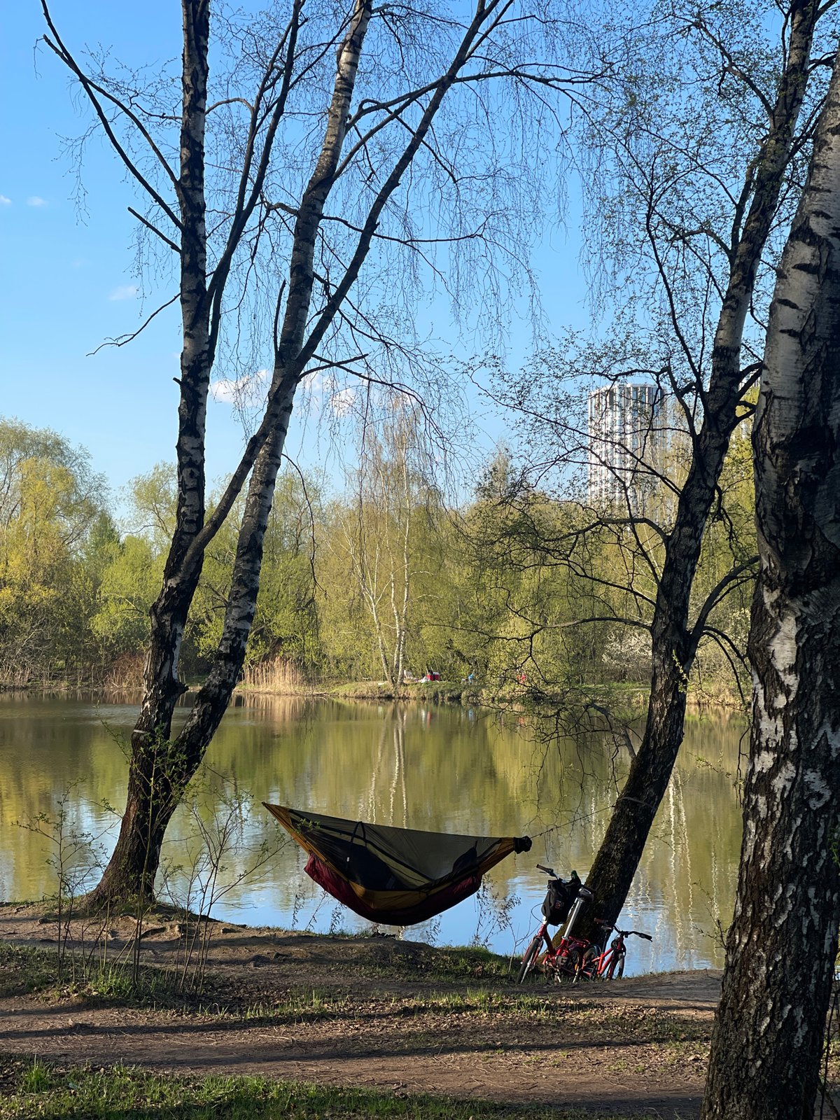 Ordinary afternoon activities documented across Khimki parks and waterfront