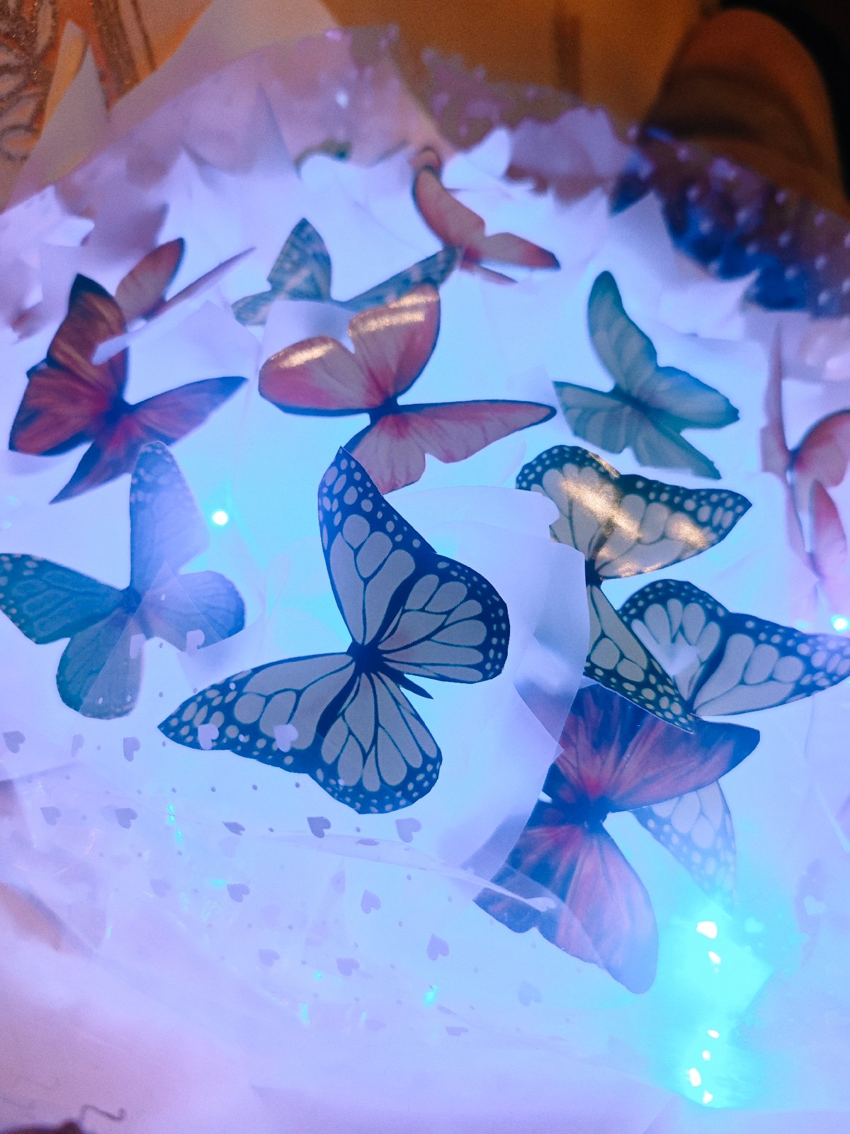 Illuminated paper butterfly display observed in Samara, Russia