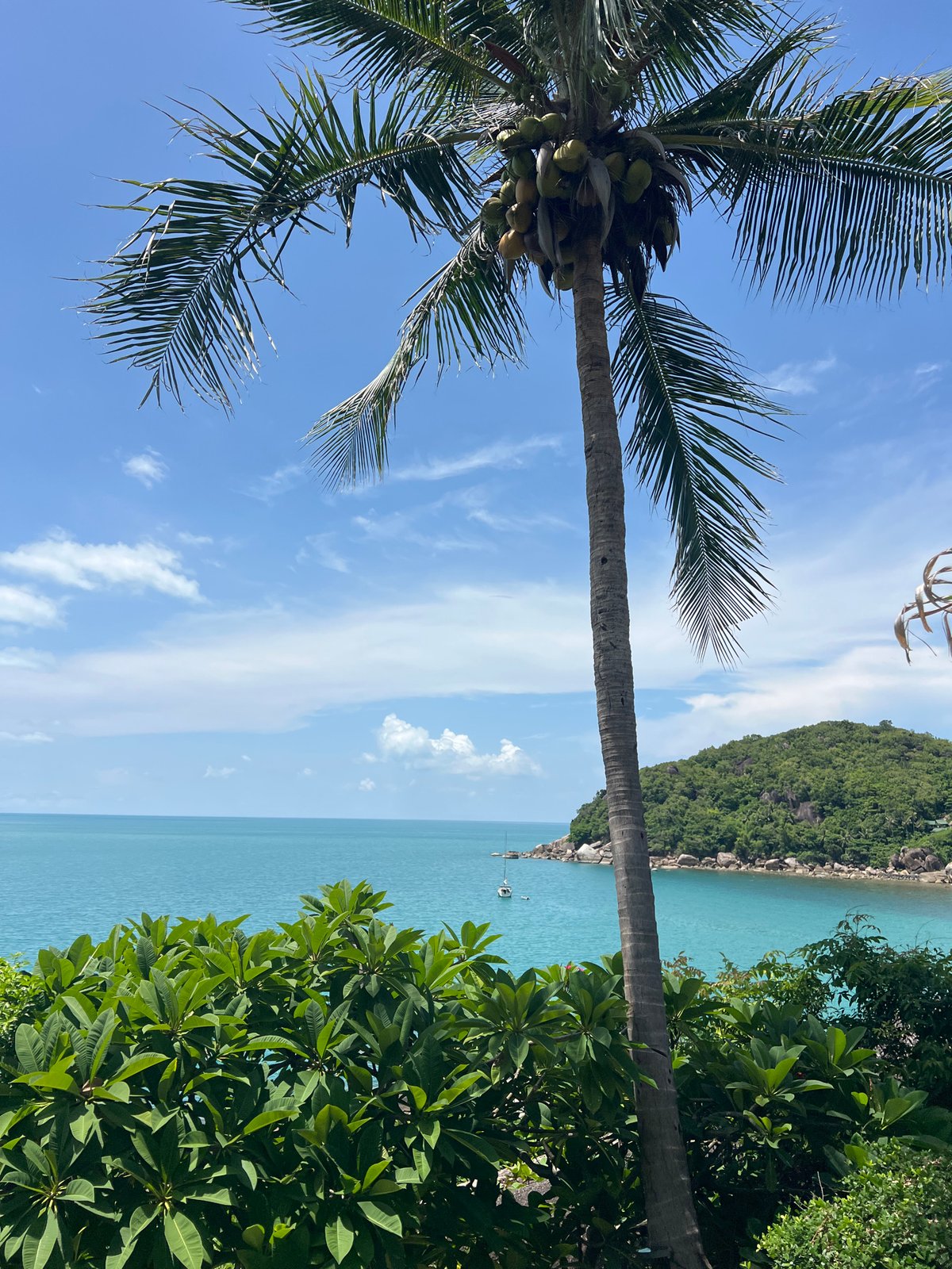 Early morning tropical coastal views in Baan Chaweng Noi