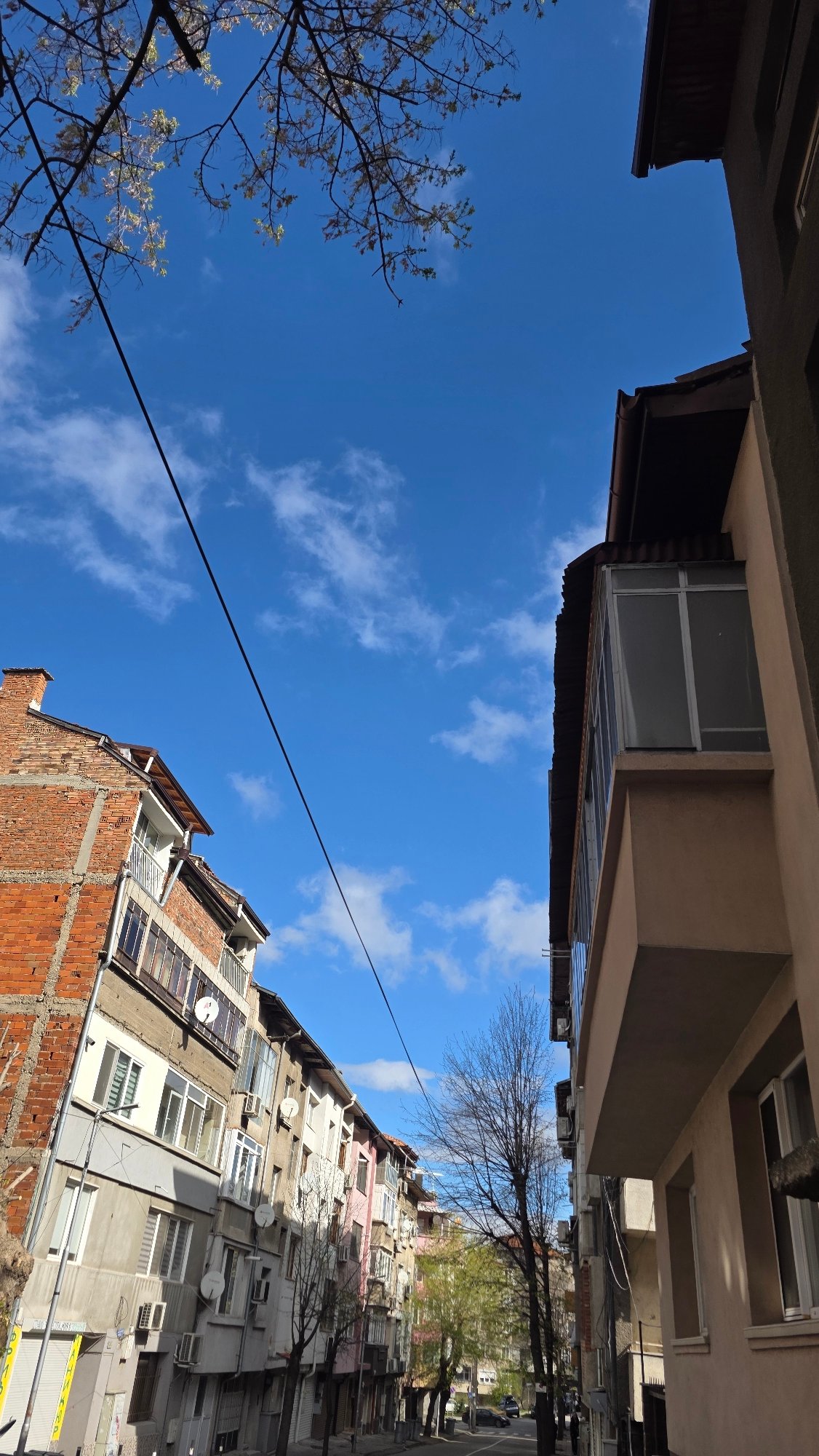 Morning domestic moments with dog and coffee in Bulgarian home