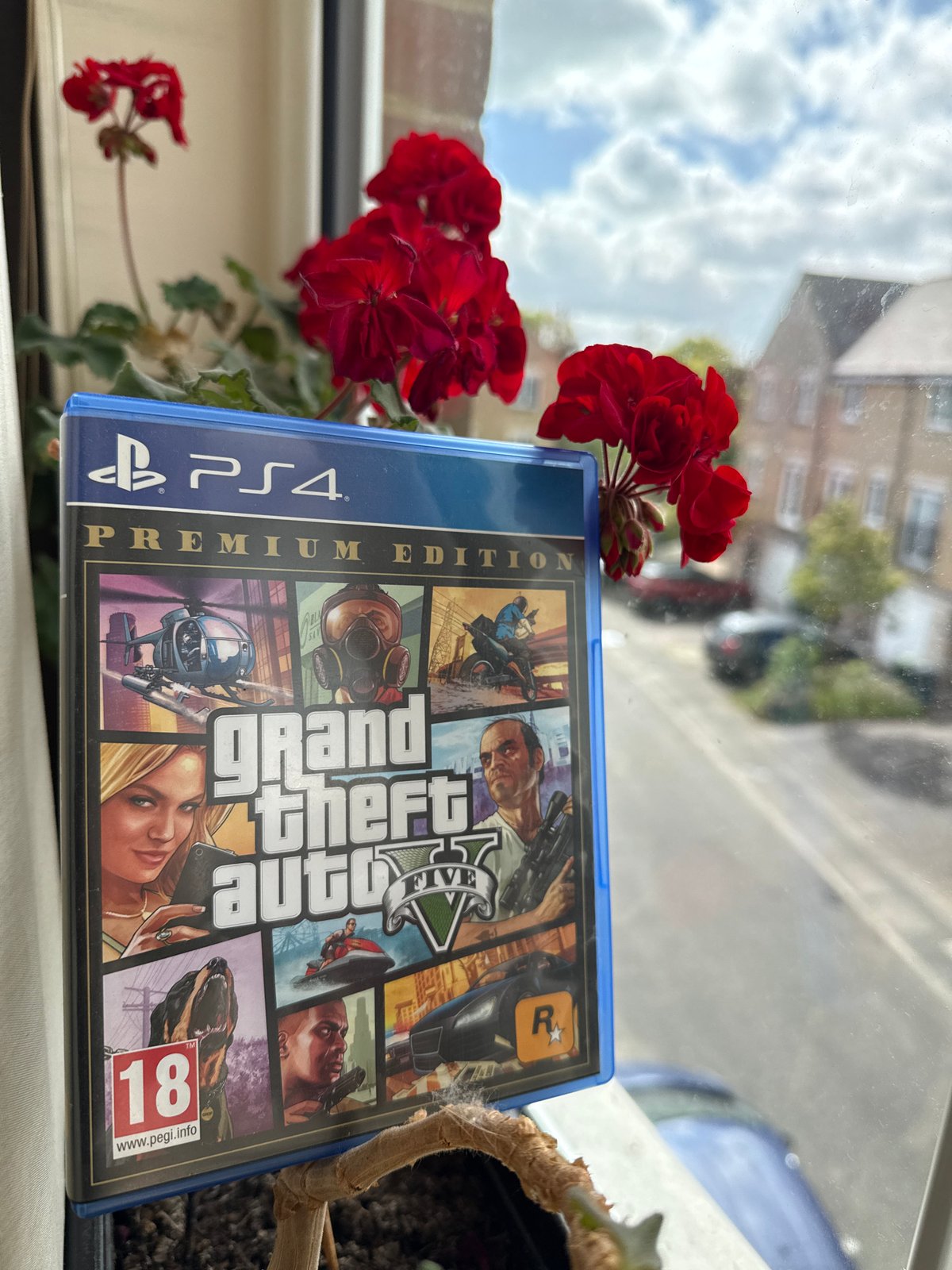 Video game photographed with flowers on Great Yarmouth windowsill