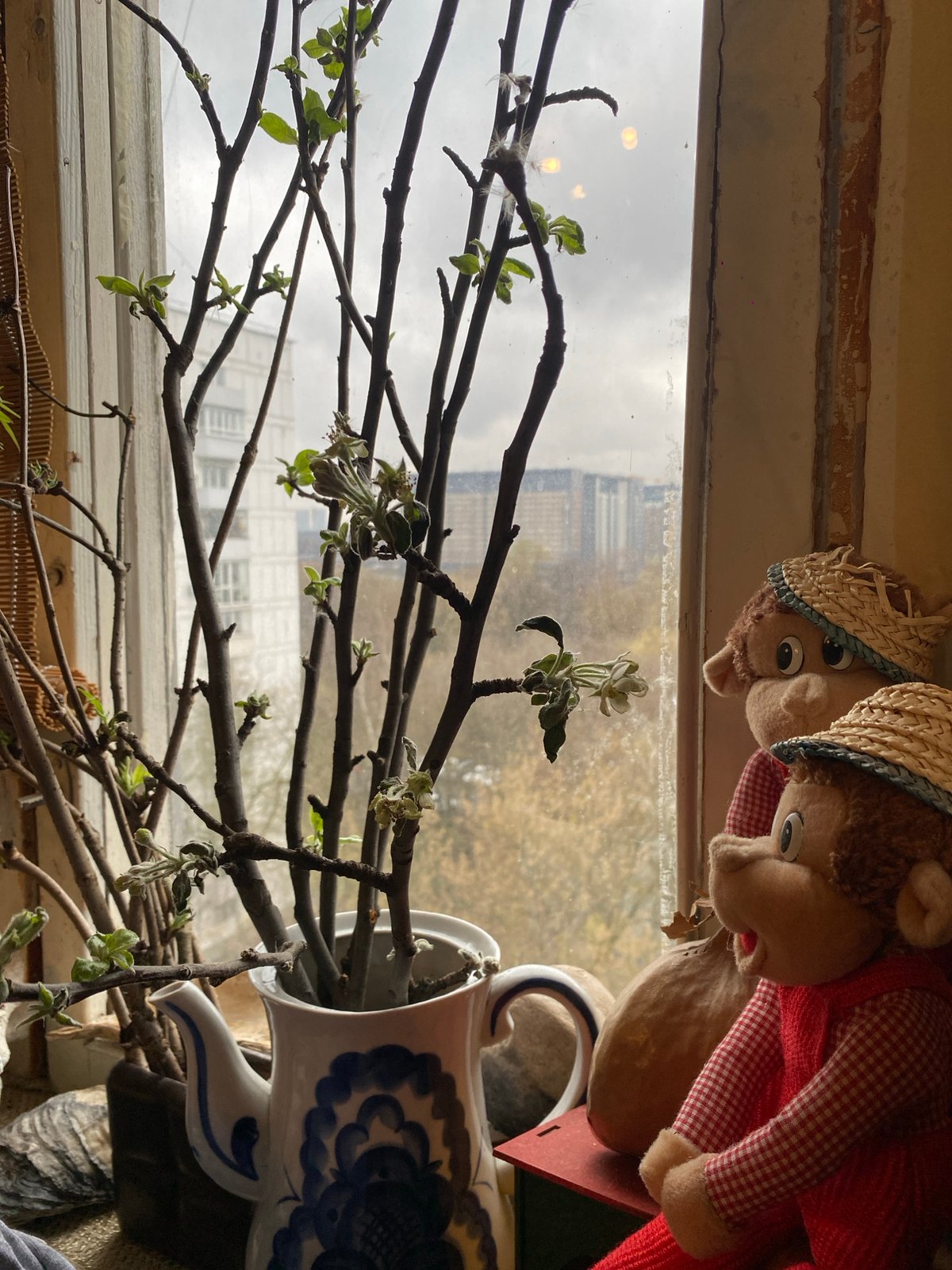 Moscow resident captures spring flowers and toys in apartment