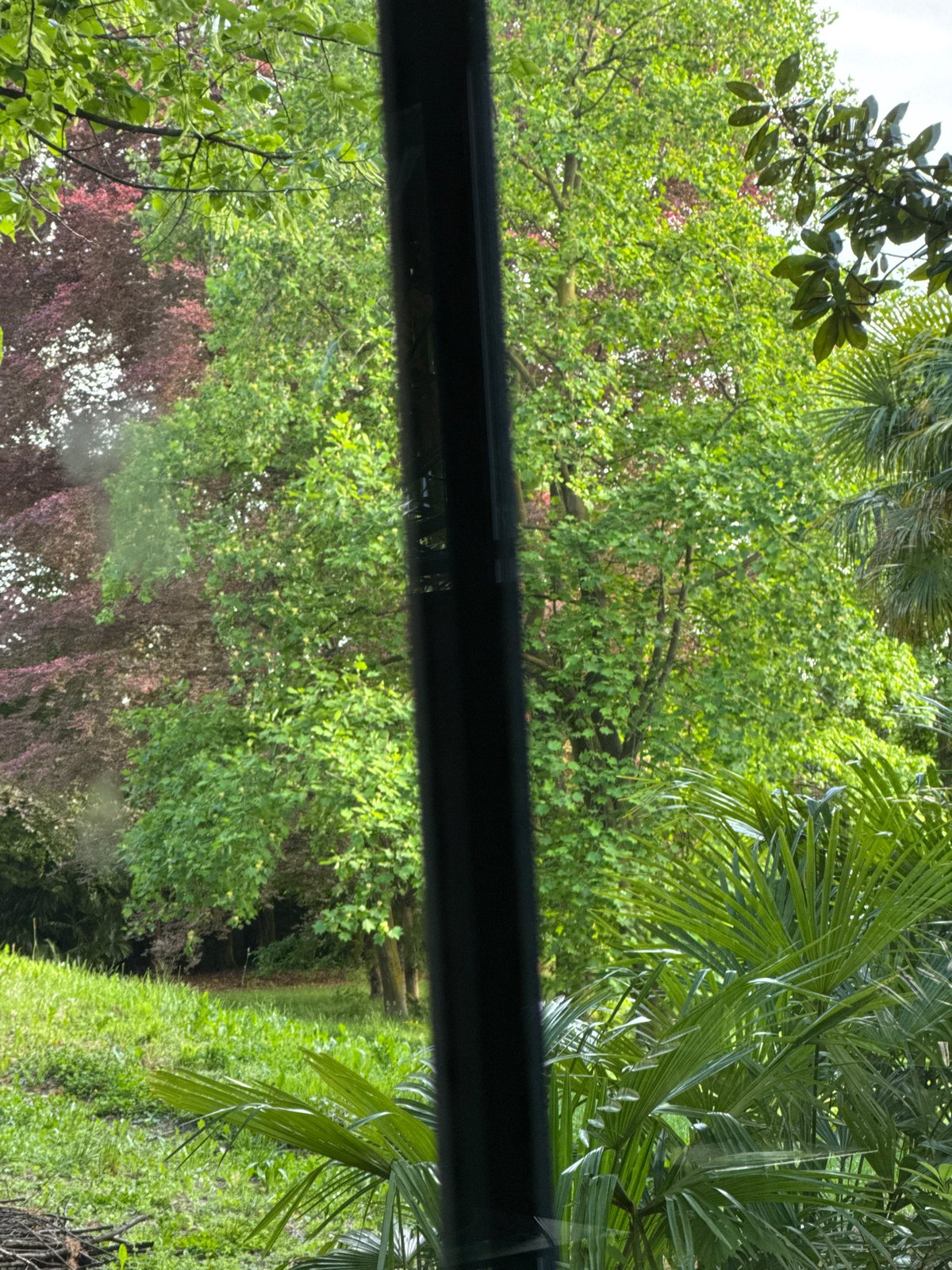 Observer documents framed outdoor view in Erba, Italy