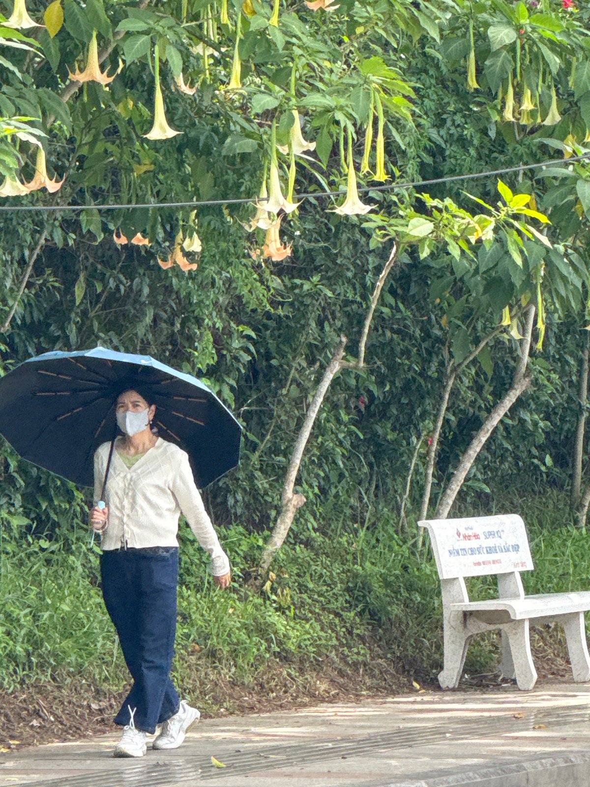 Morning life along Xuan Huong Lake in Da Lat