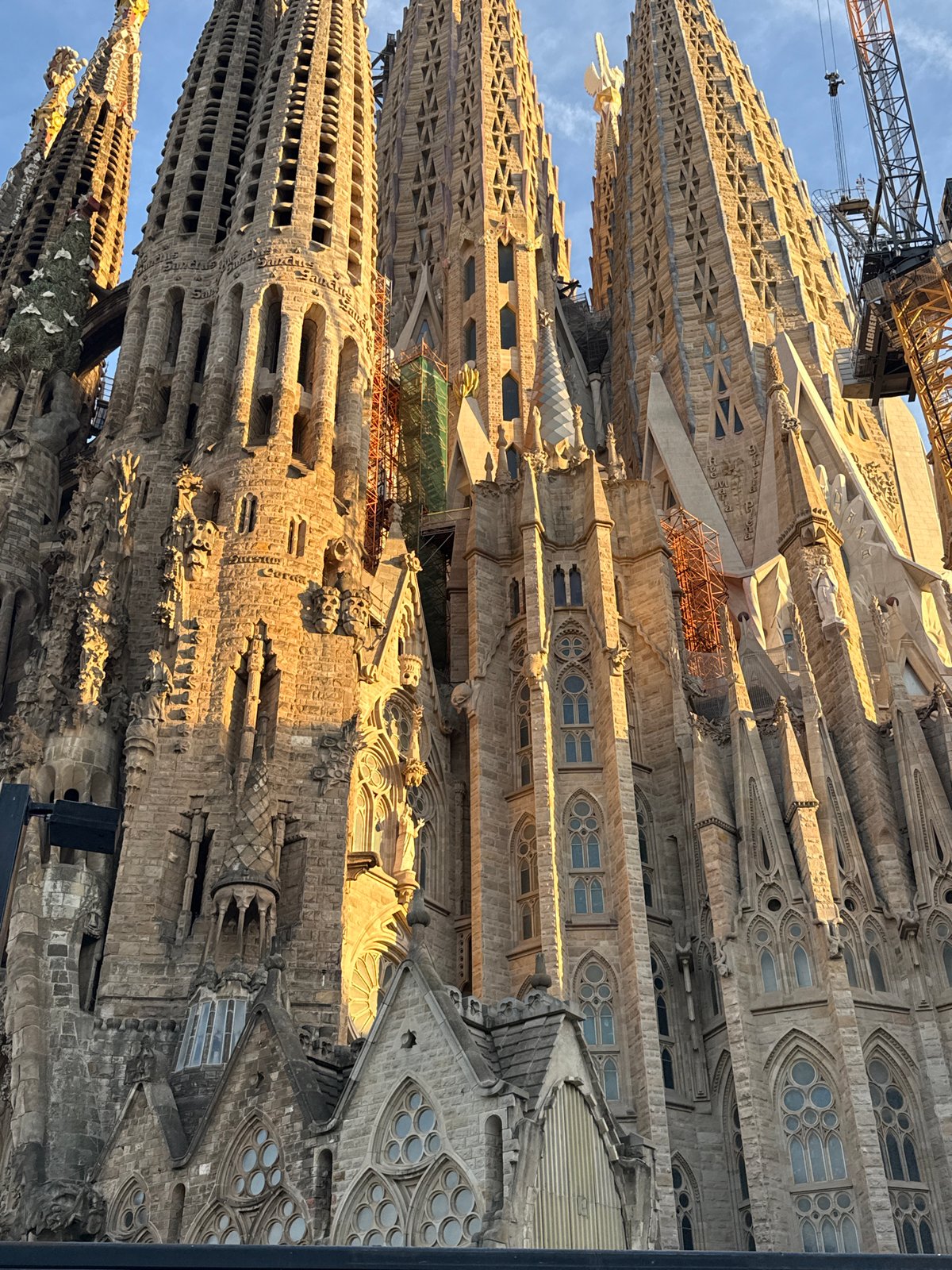 Evening visit to Sagrada Familia from multiple viewpoints