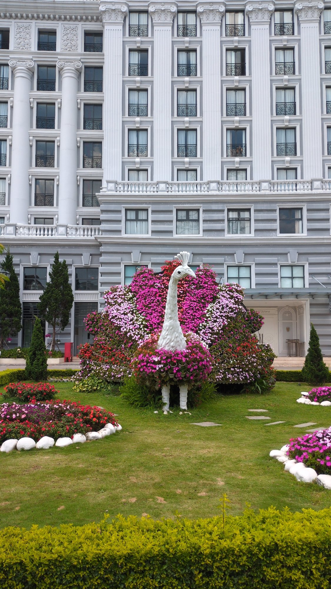Floral peacock sculpture spotted at Da Lat hotel gardens