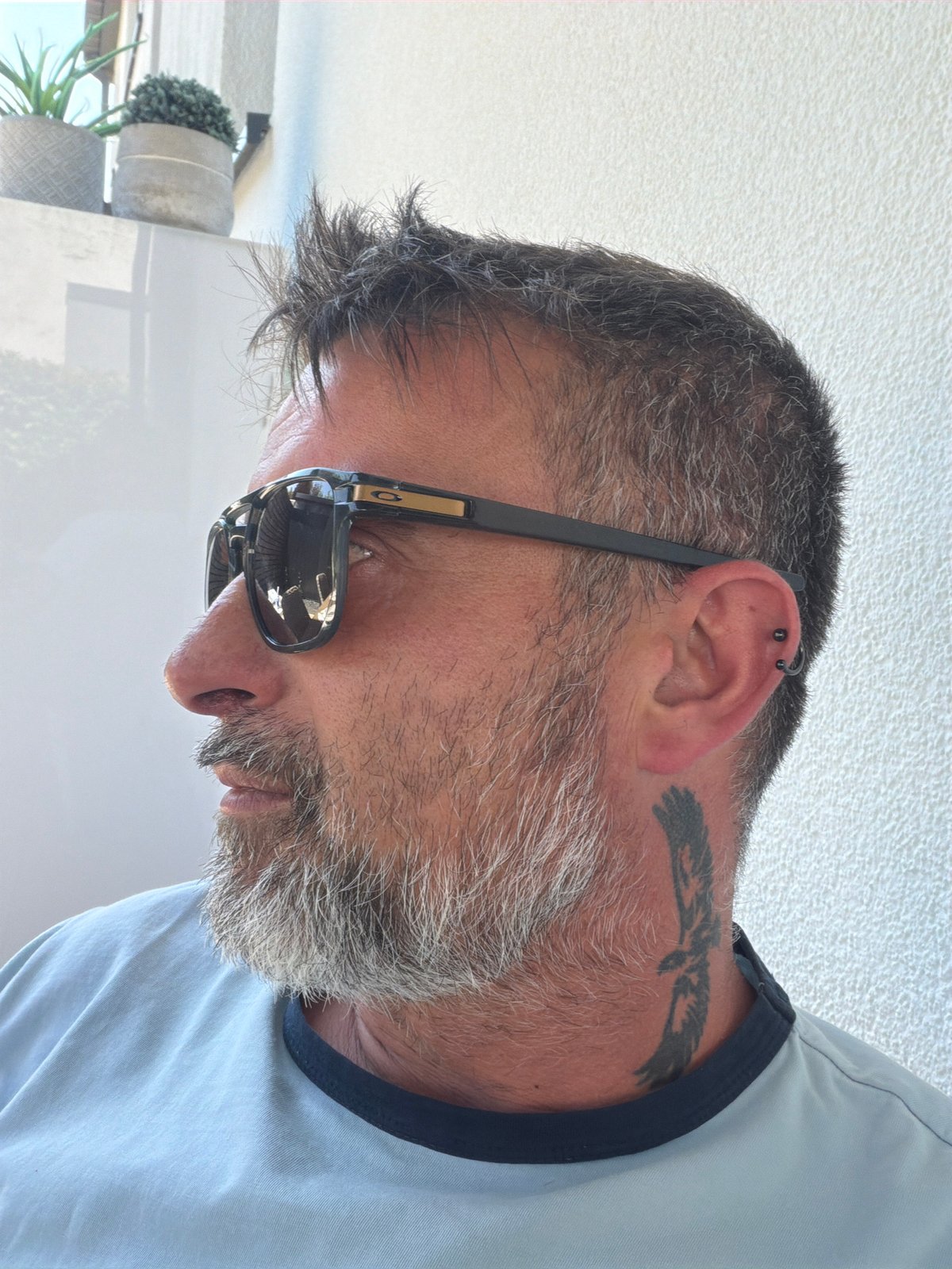 Relaxed backyard morning in Junglinster, Luxembourg