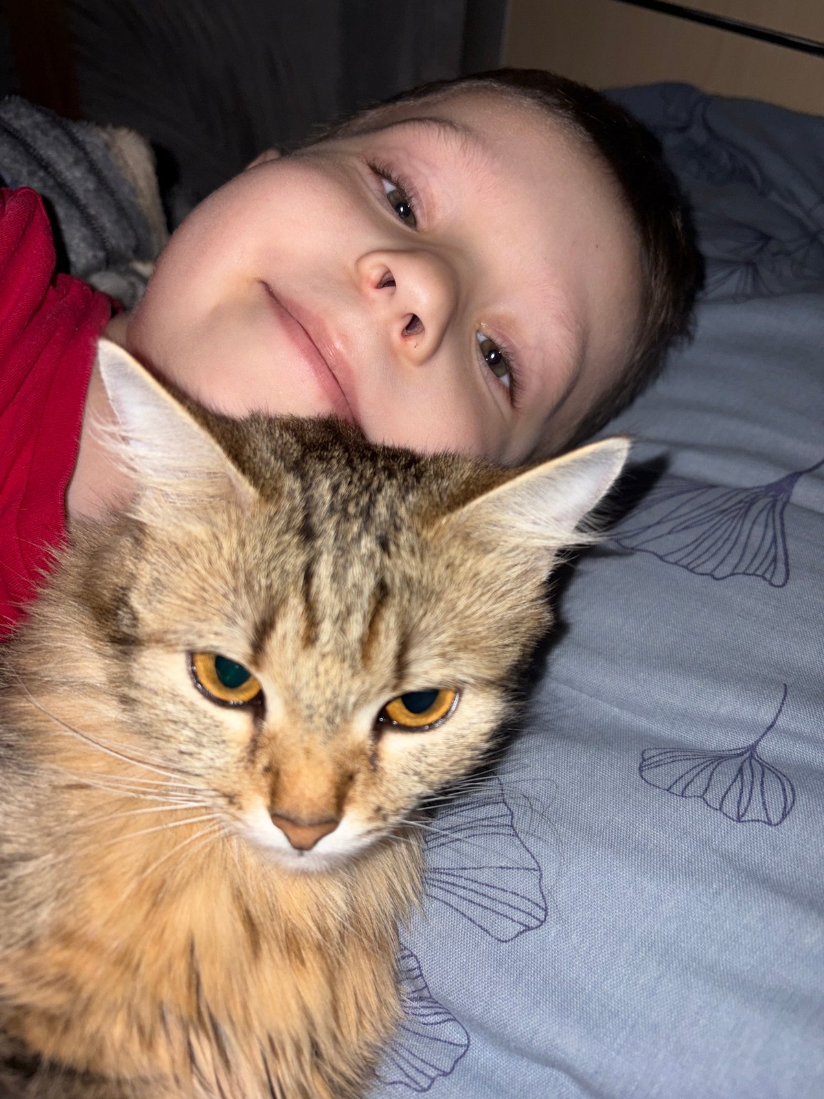 Child cuddles with cat during quiet morning moment