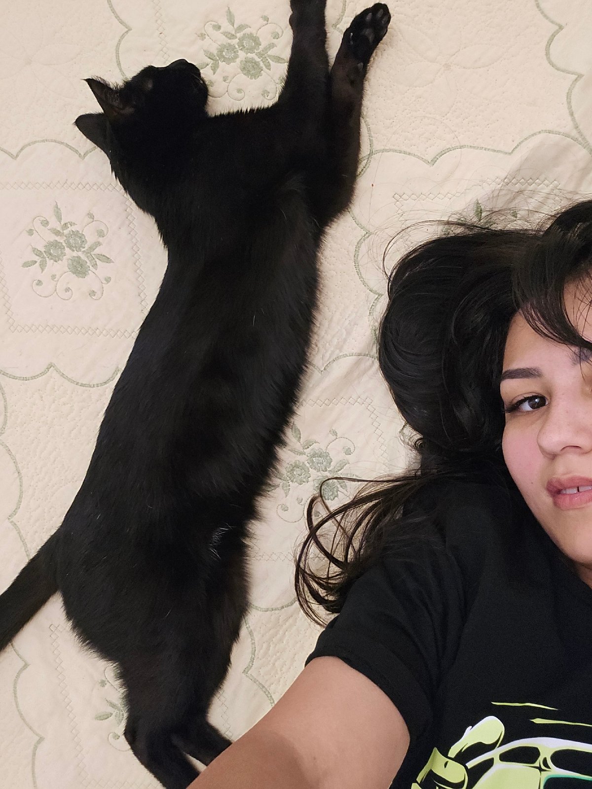 Relaxing on a bed with a black cat in Dushanbe