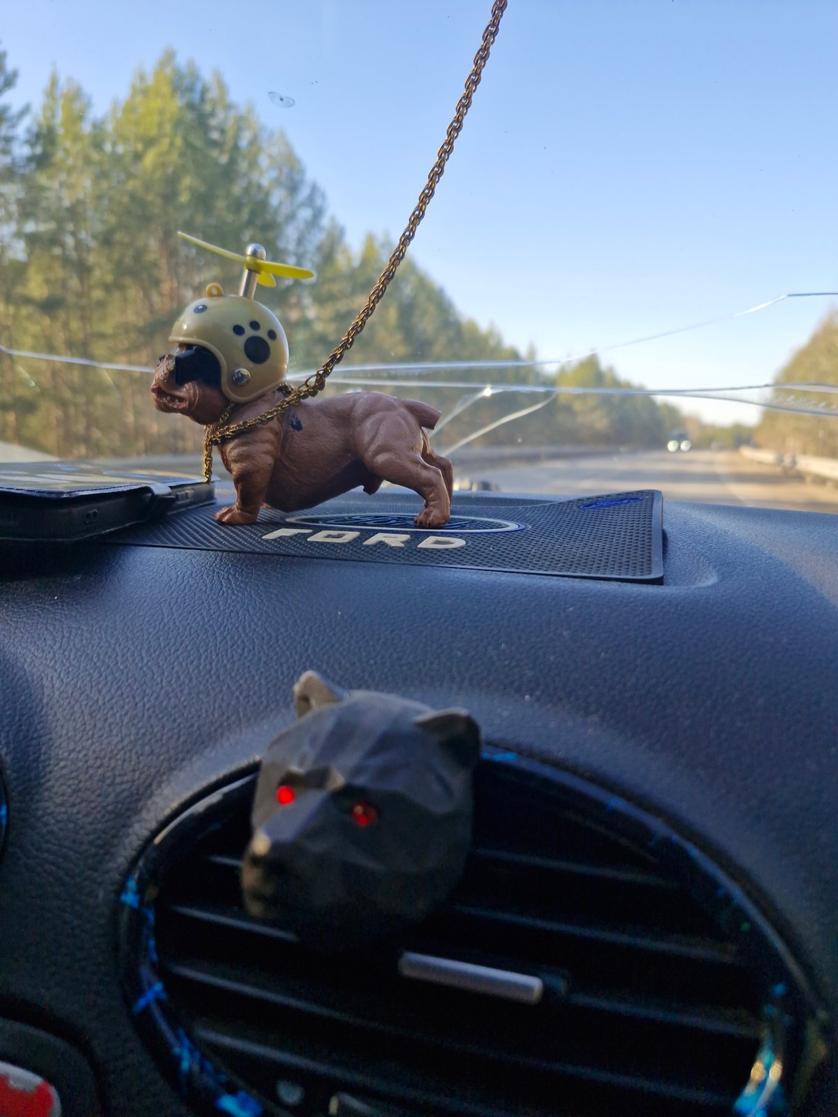 Driver displays whimsical dog ornament in car dashboard