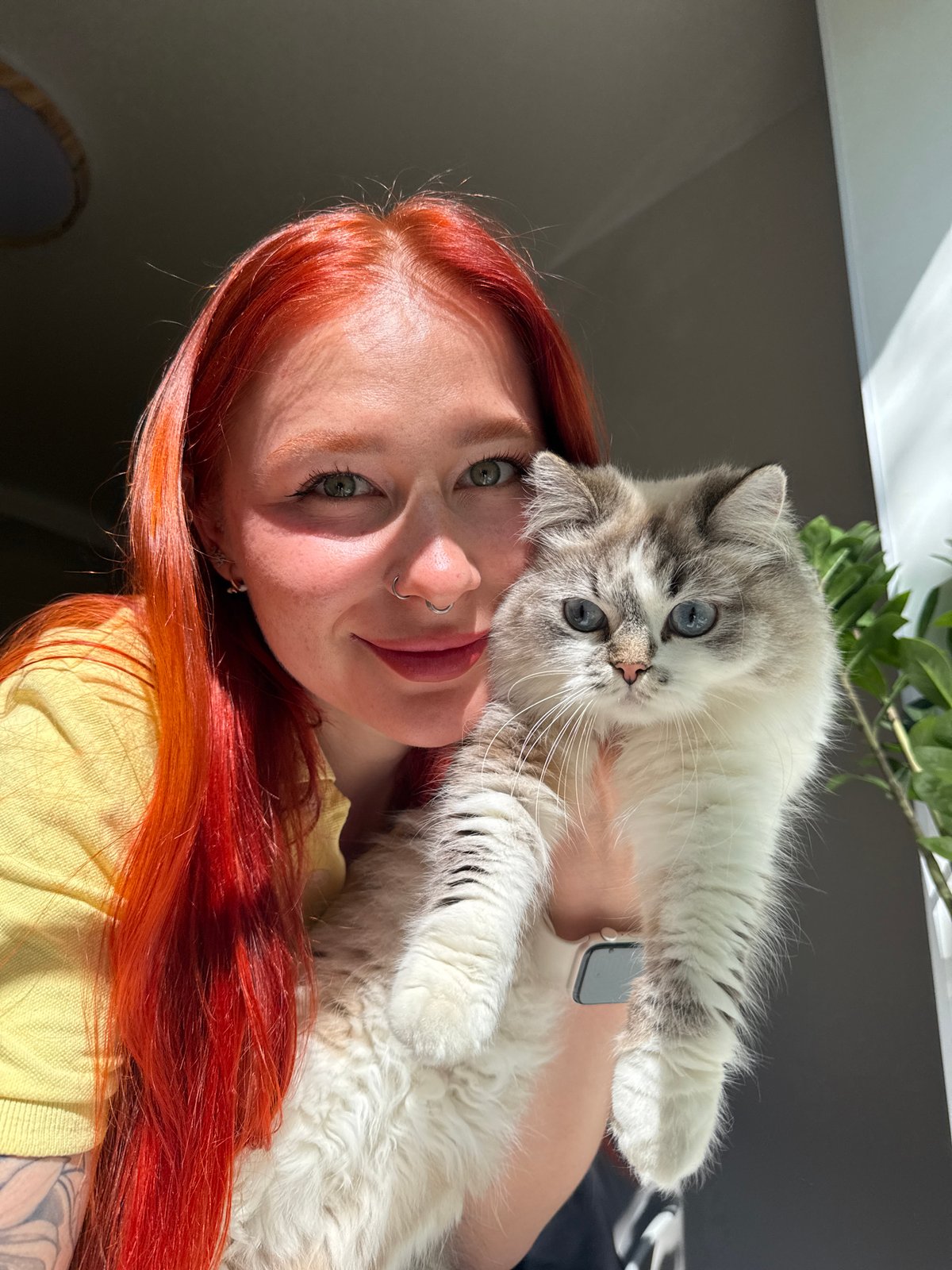 Woman with cats documented in morning Rostov-on-Don residence