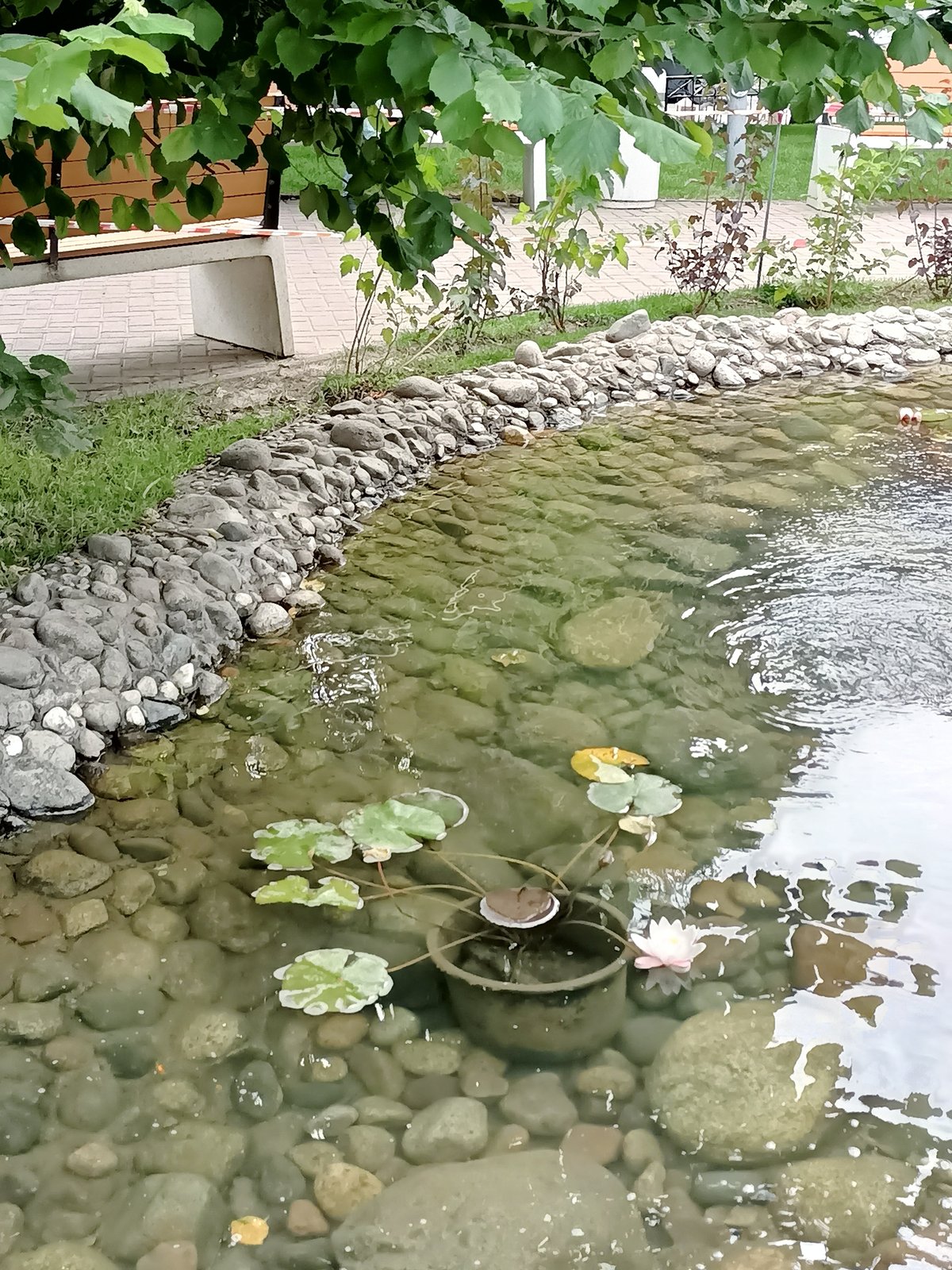 Almaty park with streams, ponds, and footbridges on a summer morning