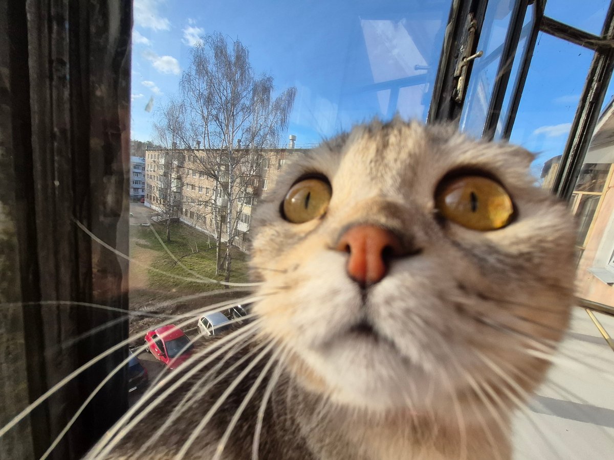 Daily life documented across Chaikovsky, Russia during spring afternoon