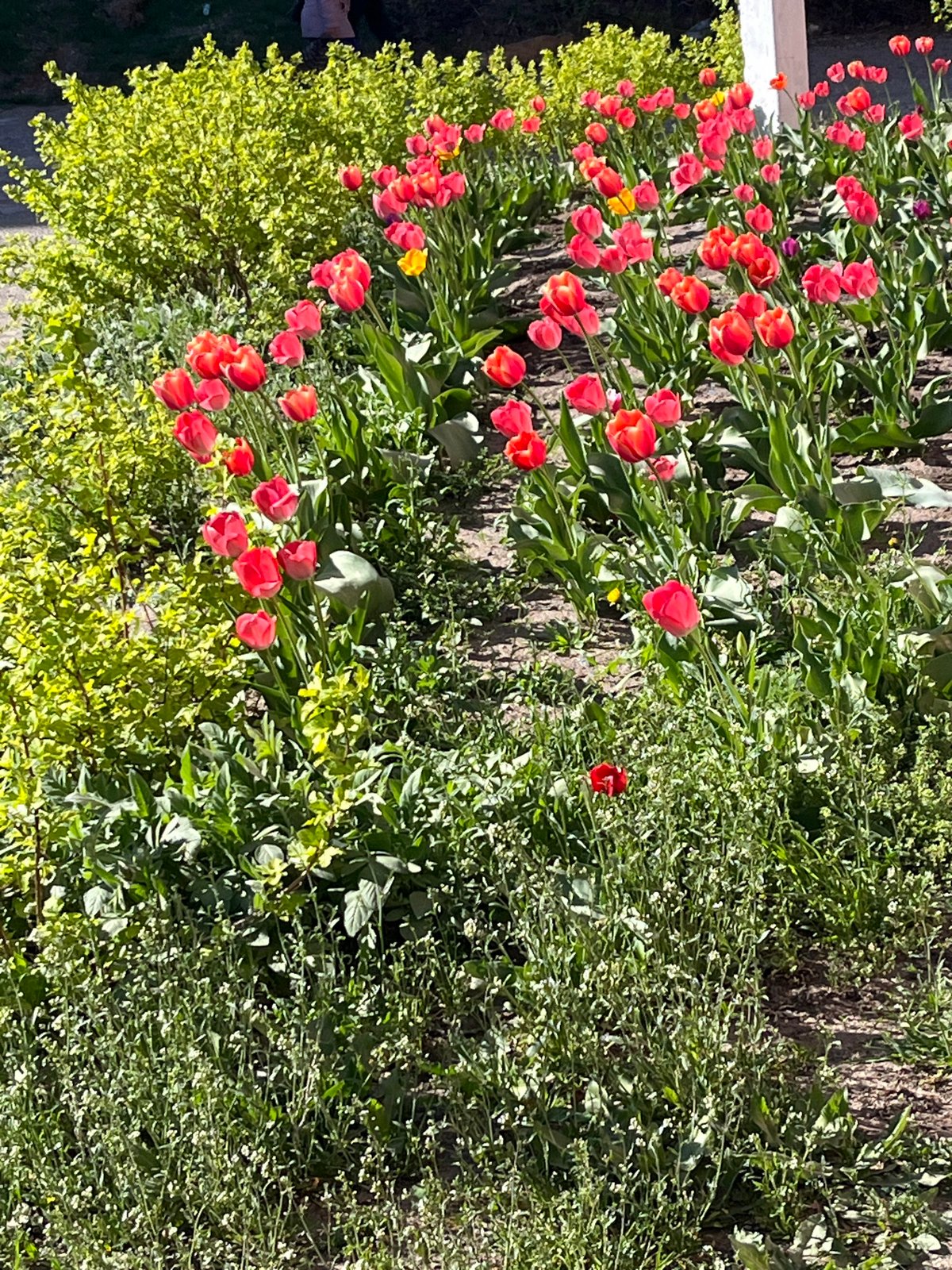 Woman documents spring day outing in Chaikovsky, Russia