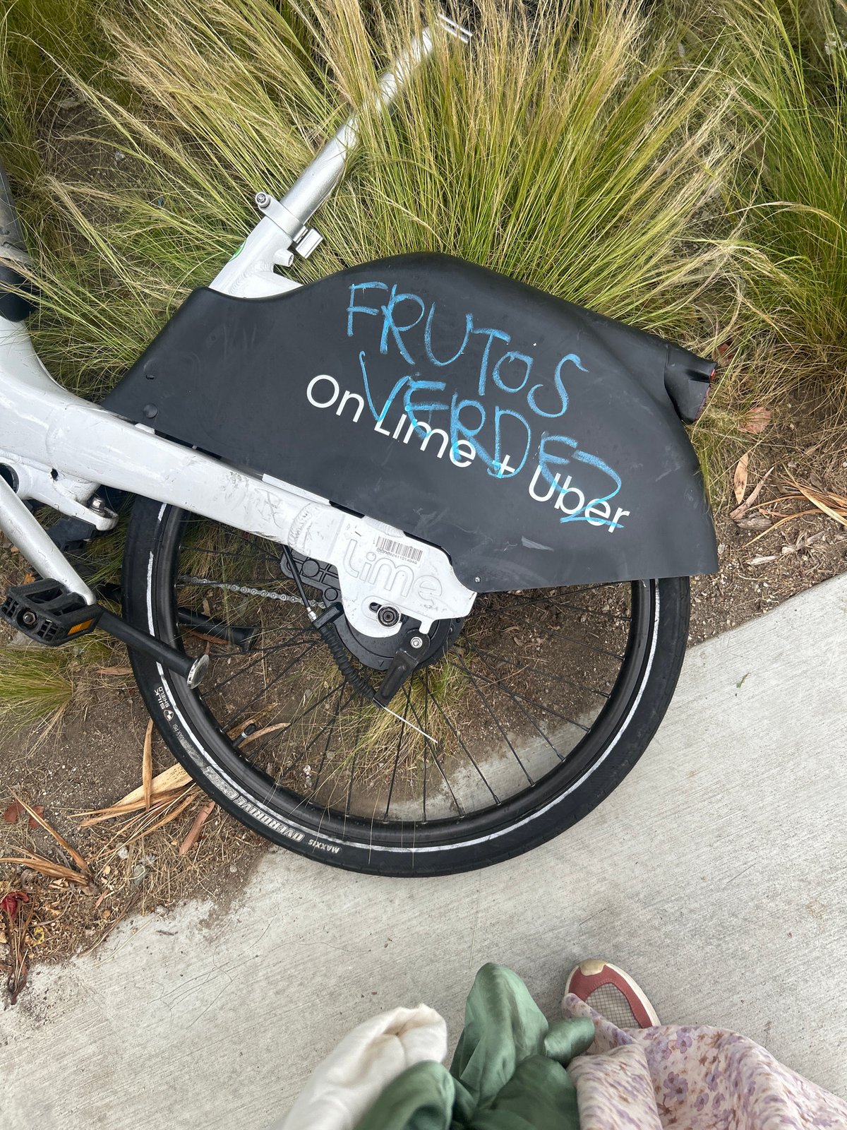 Vandalized shared bike found graffitied in Los Angeles