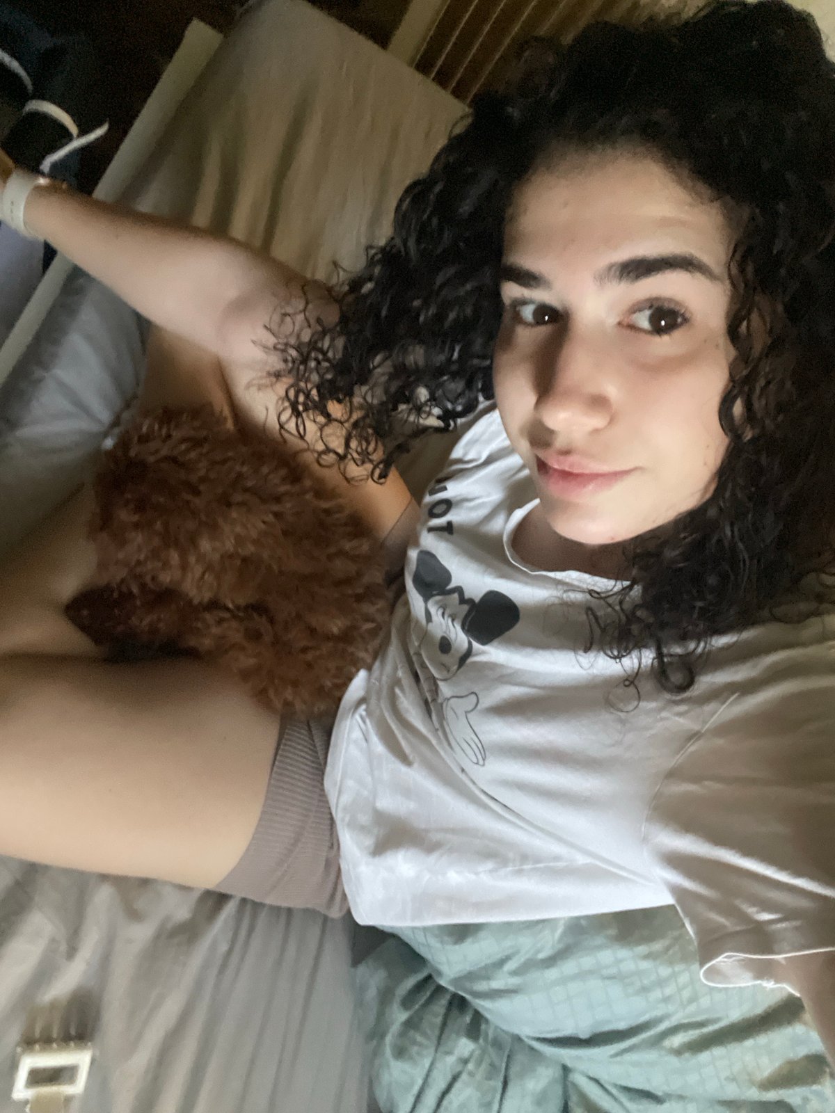 Morning moments: Woman, poodle, and car wash in Sofia