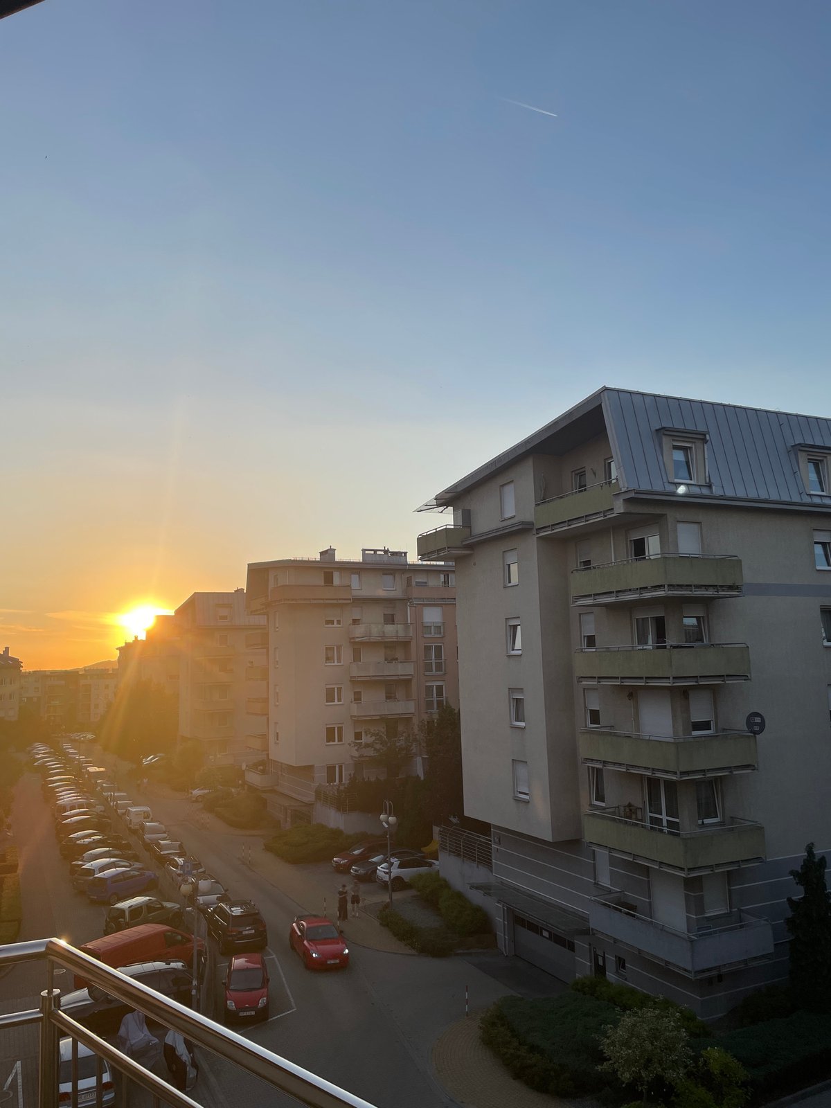 Golden hour across a city neighborhood, with nature details mixed in