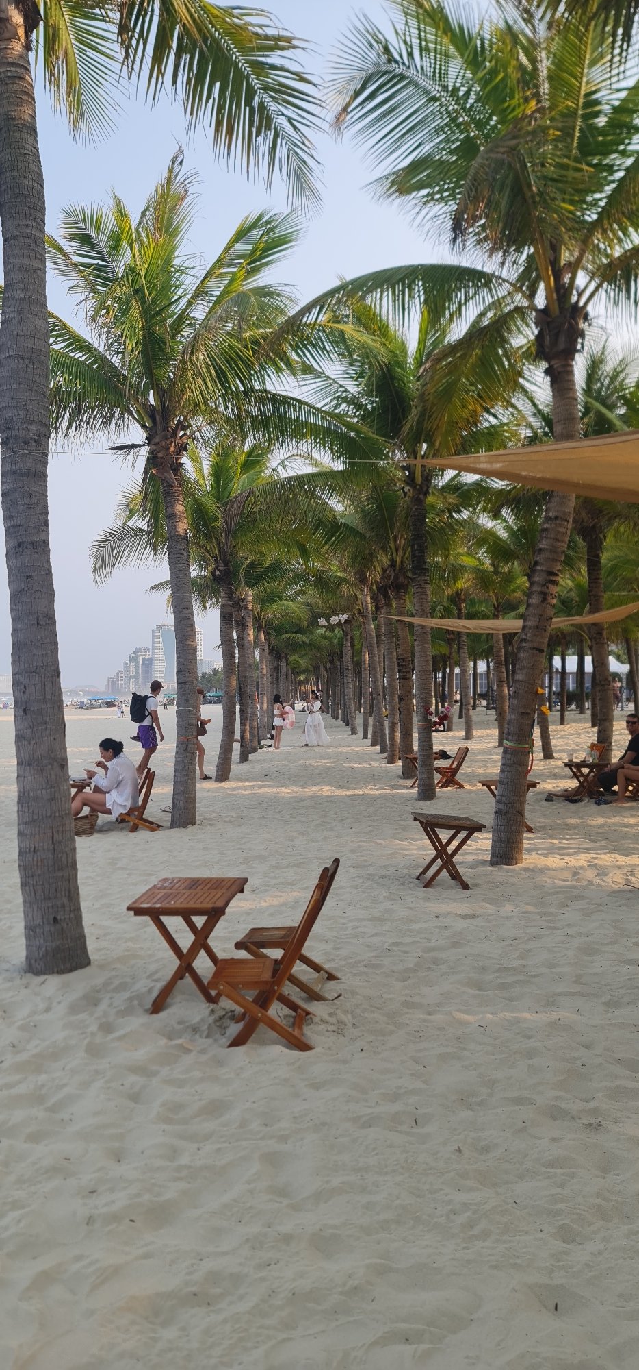 Morning beach life documented along Đà Nẵng's palm-lined coastline