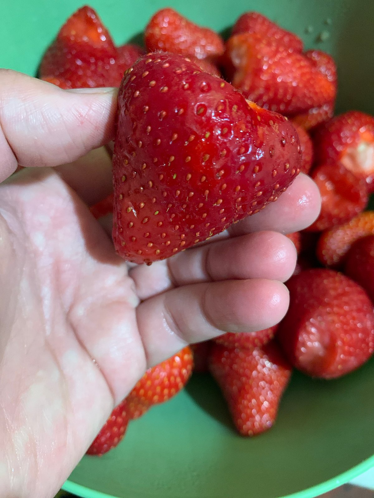 Morning garden harvest: strawberries, roses, and mint cultivation documented