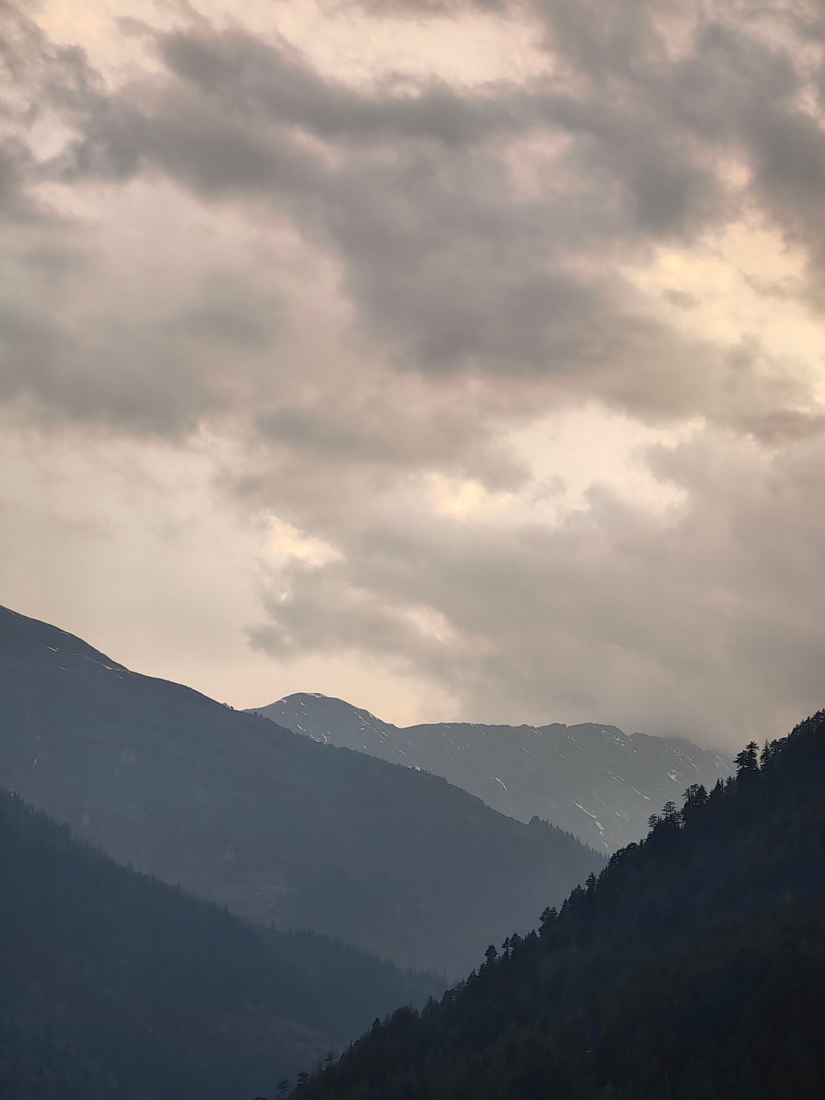 Monsoon afternoon documented across Vashisht's mountain terraces and rooftops