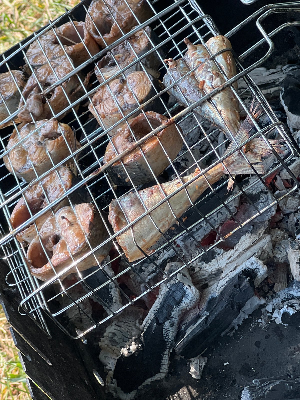 Summer day at a Belarus lakeside — grilling fish, wildflowers, beach