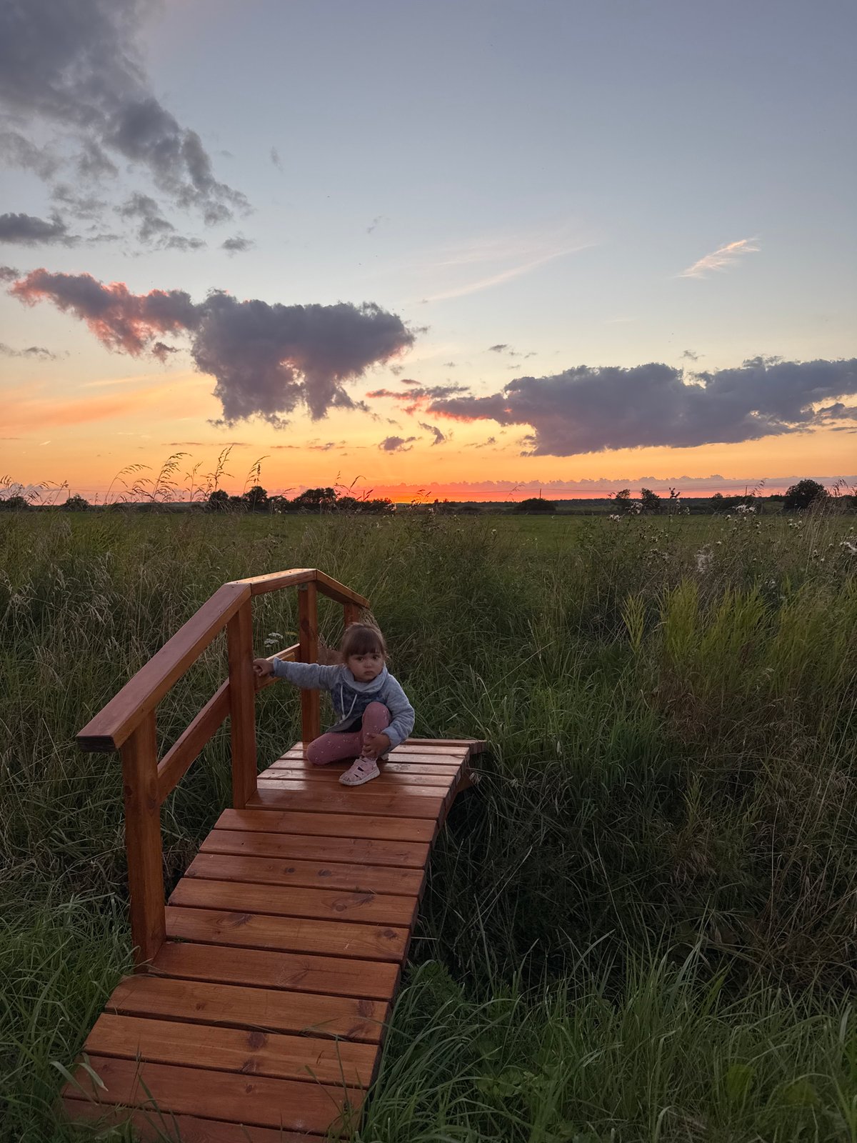 Kid, dogs, and a footbridge at dusk in Kempelevo