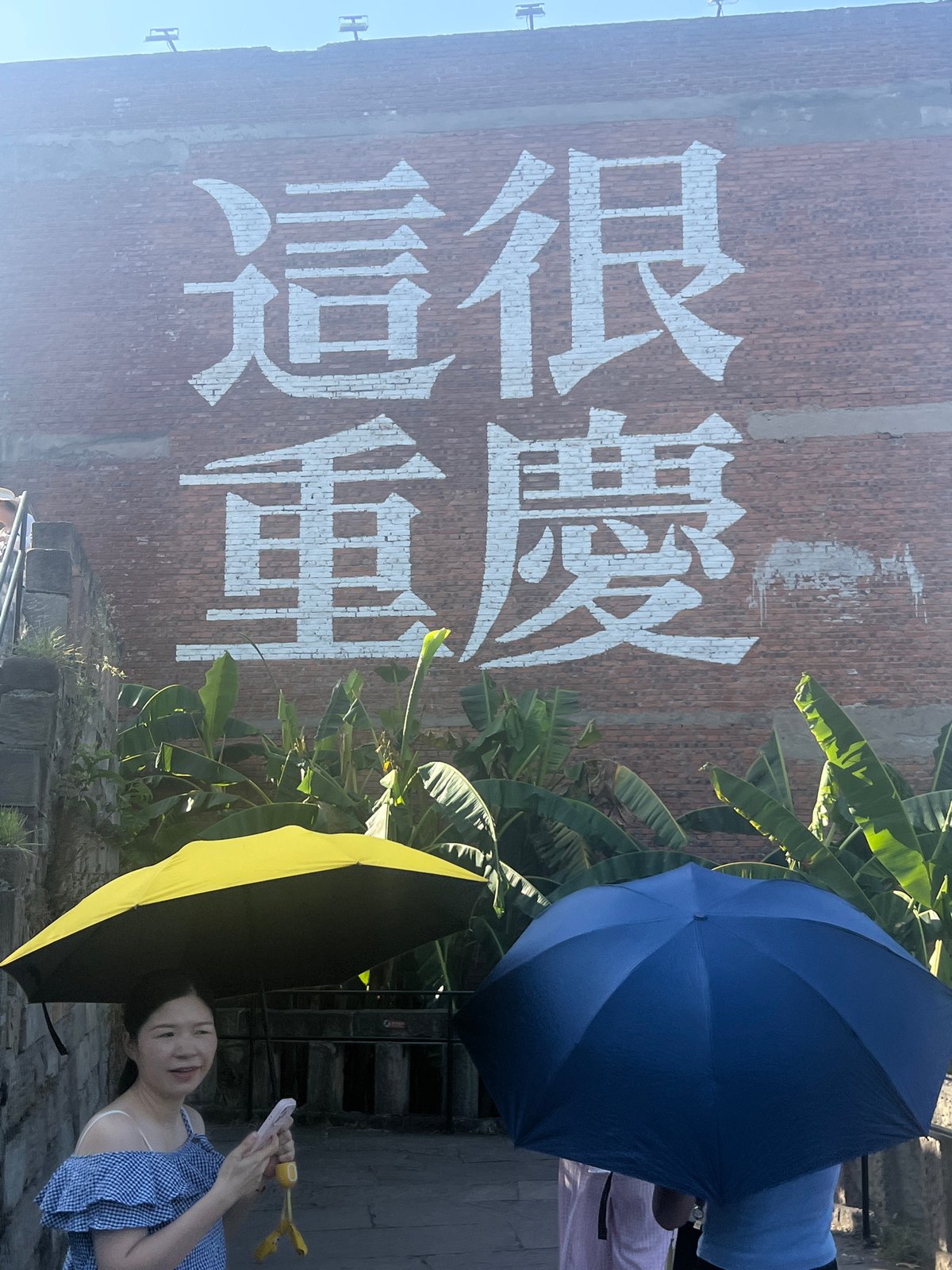Chongqing's Nan'an District: rooftops, river bridges, and tourist murals