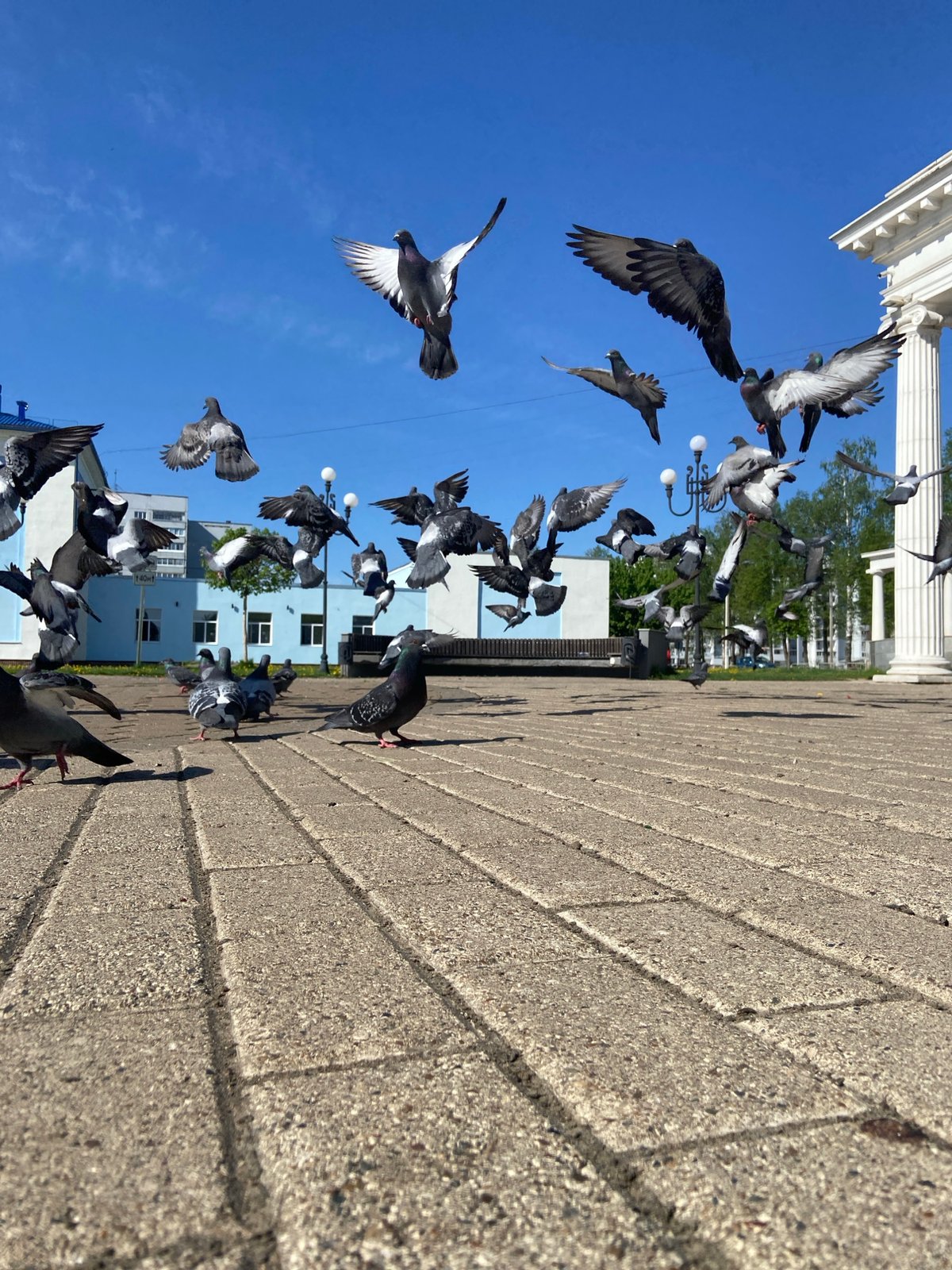 Early morning life documented across Chaikovsky, Russia public spaces