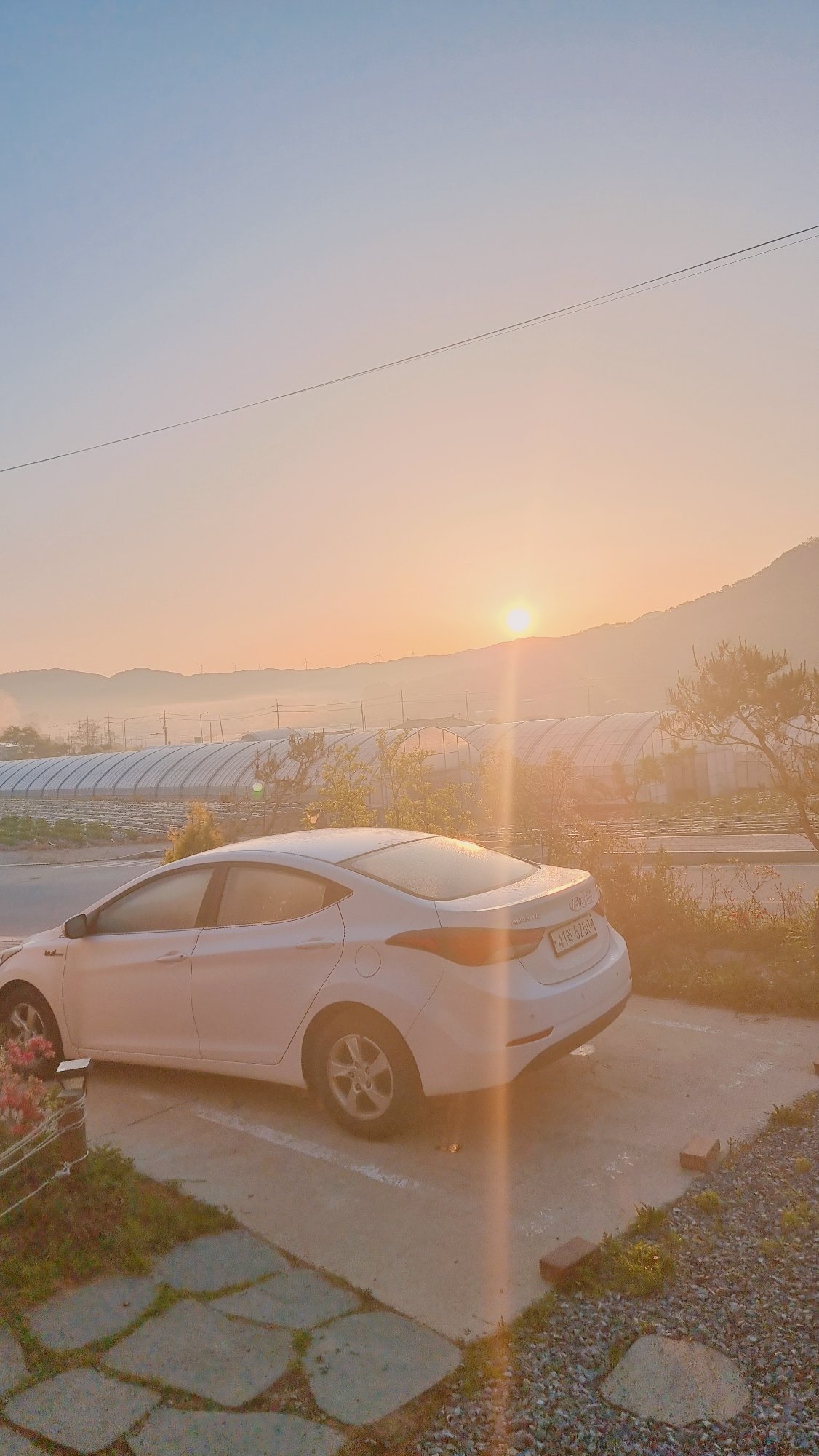 Quiet evening with cats and car documented in rural South Korea