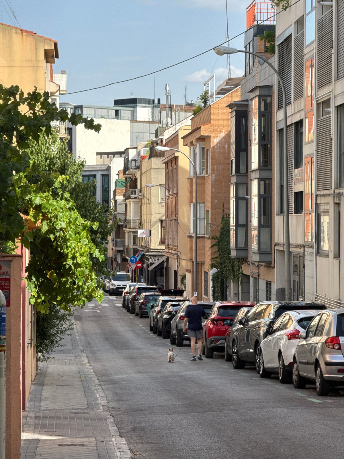 Quiet street-level details from a Madrid neighborhood