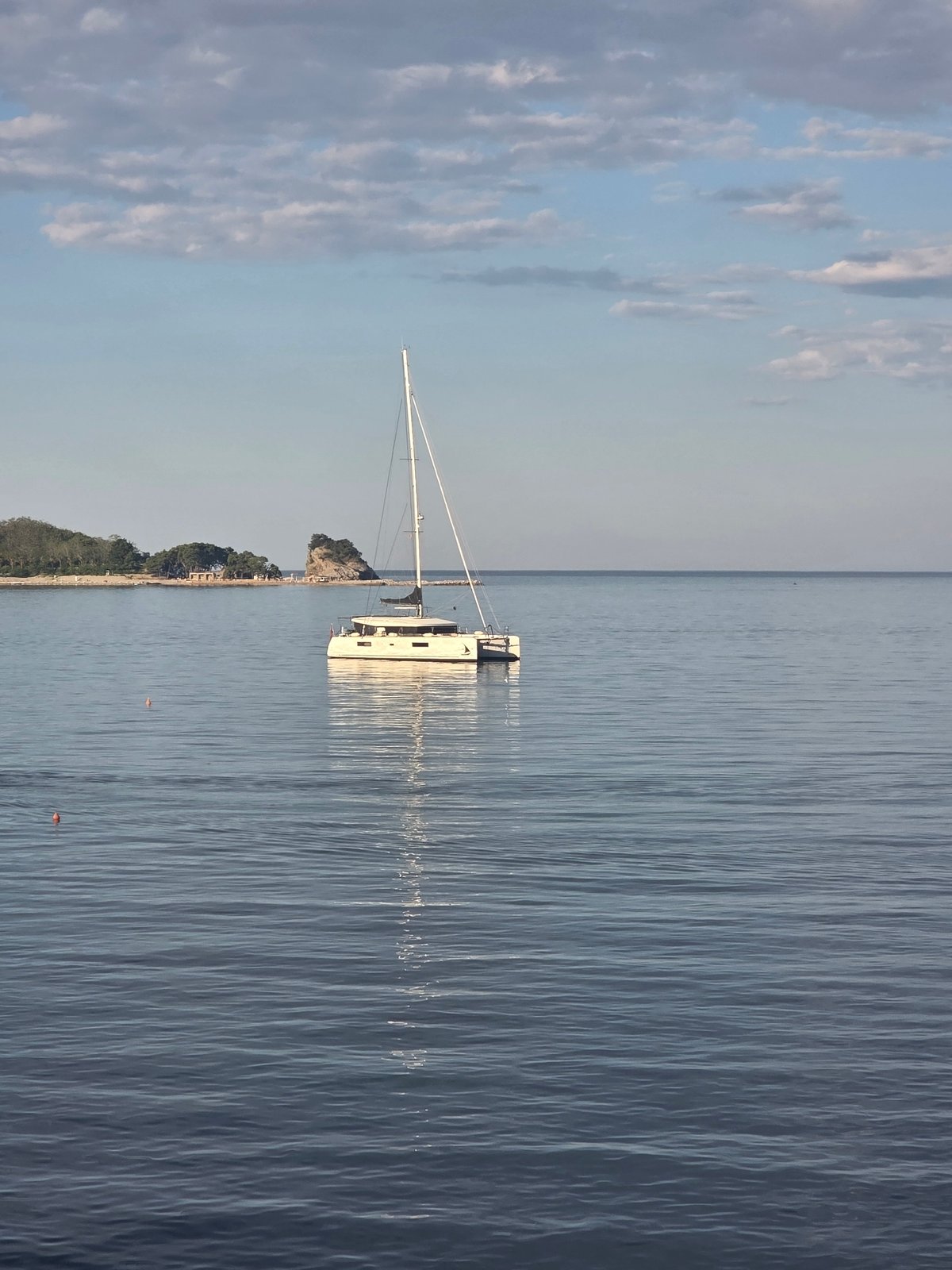 Catamaran anchored off Budva, curious calico kitten nearby