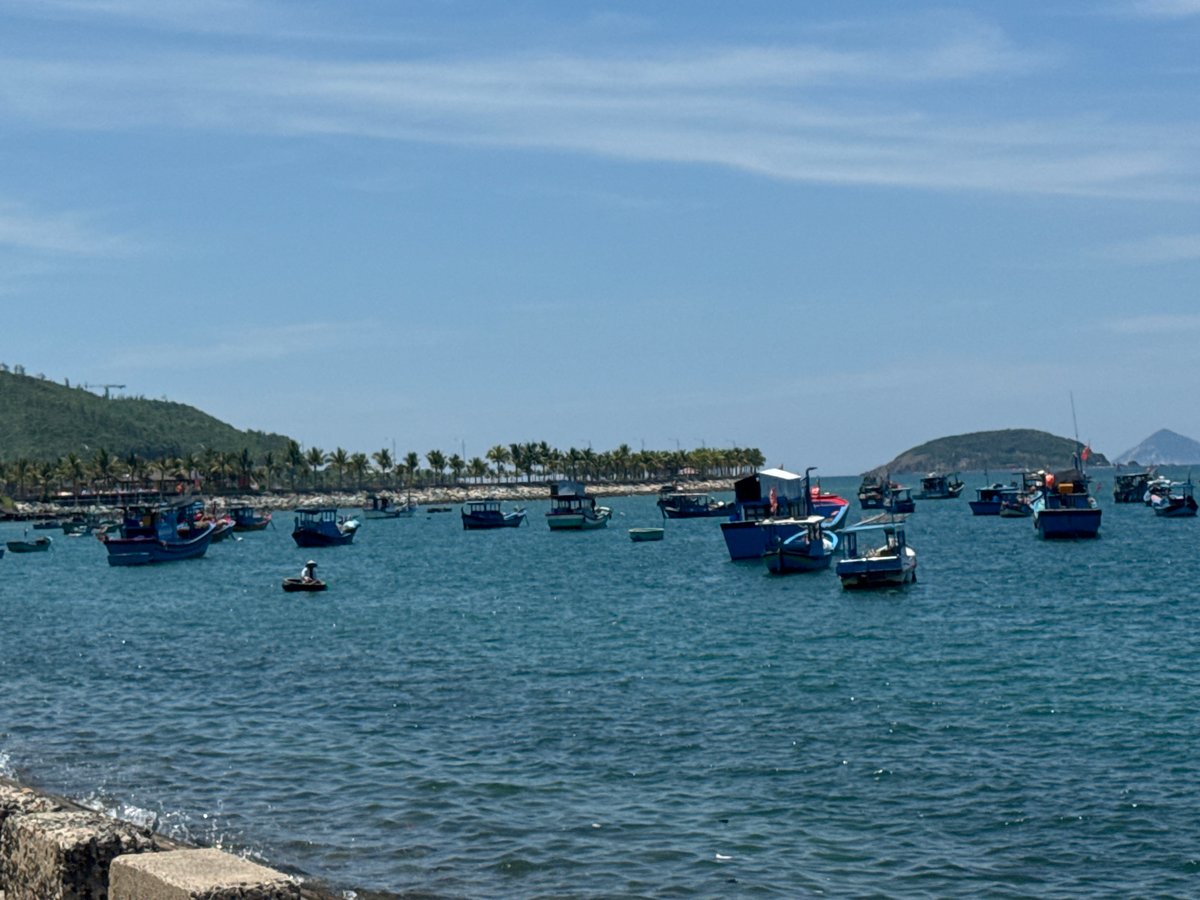 Aerial views of fishing boats on turquoise waters