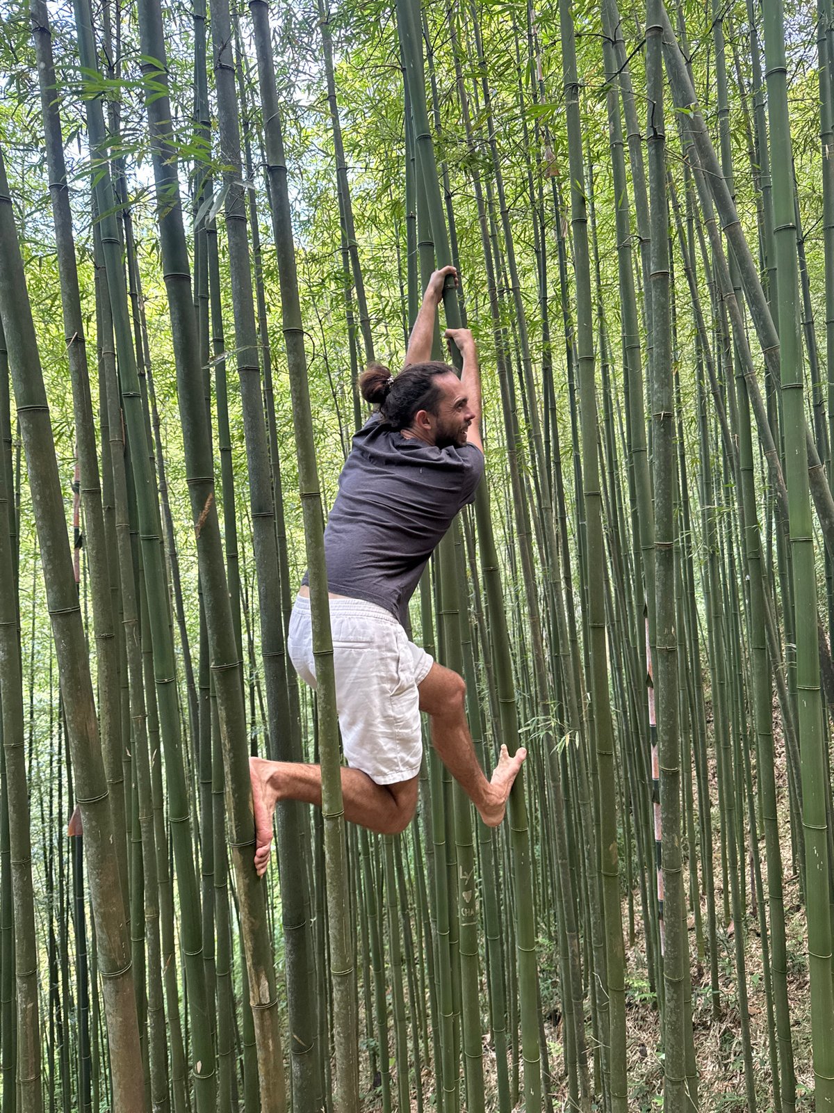Tourists photograph bamboo forest experience in Púng Luông Vietnam