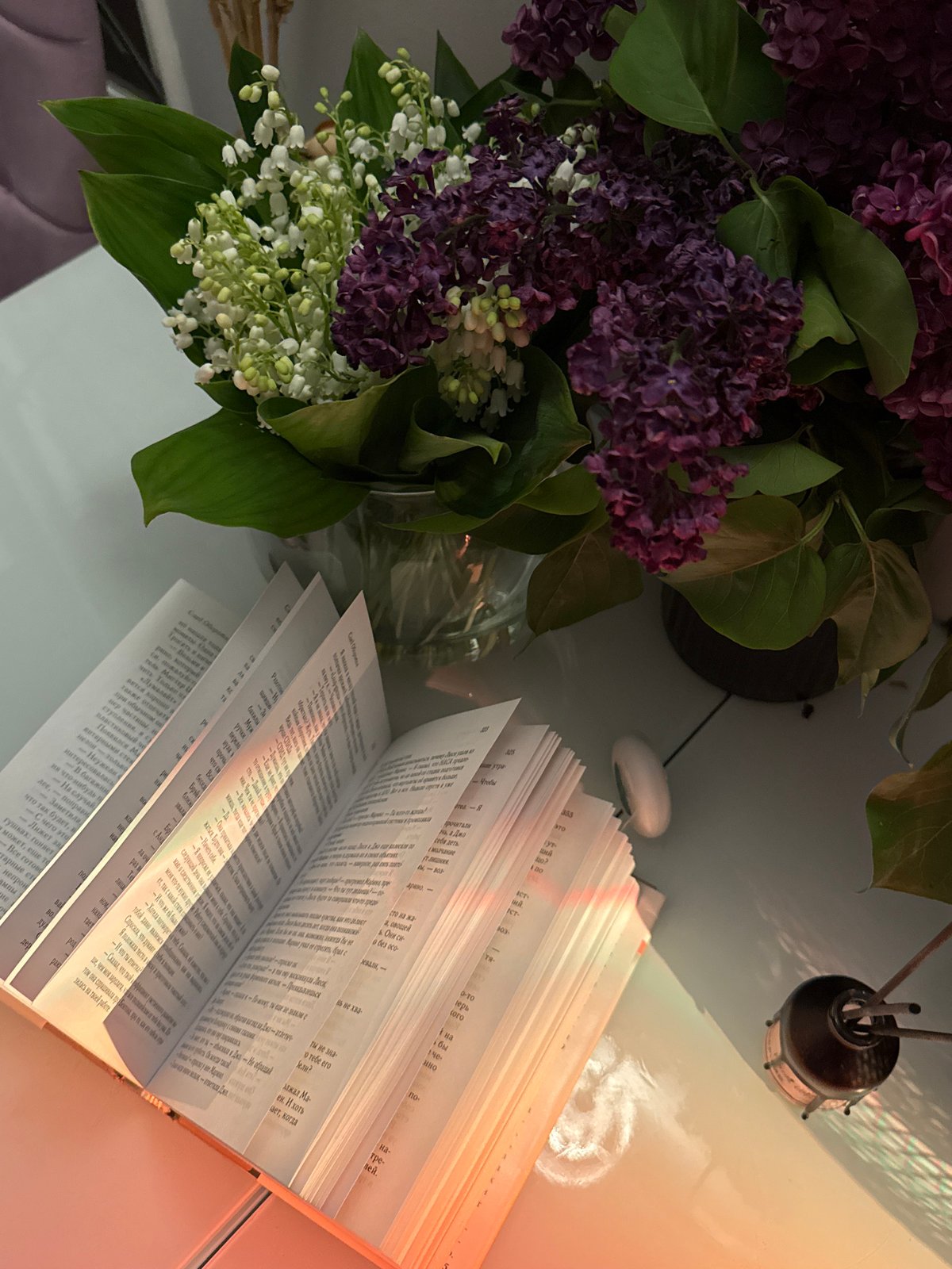 Indoor floral display and atmospheric lighting captured in personal space