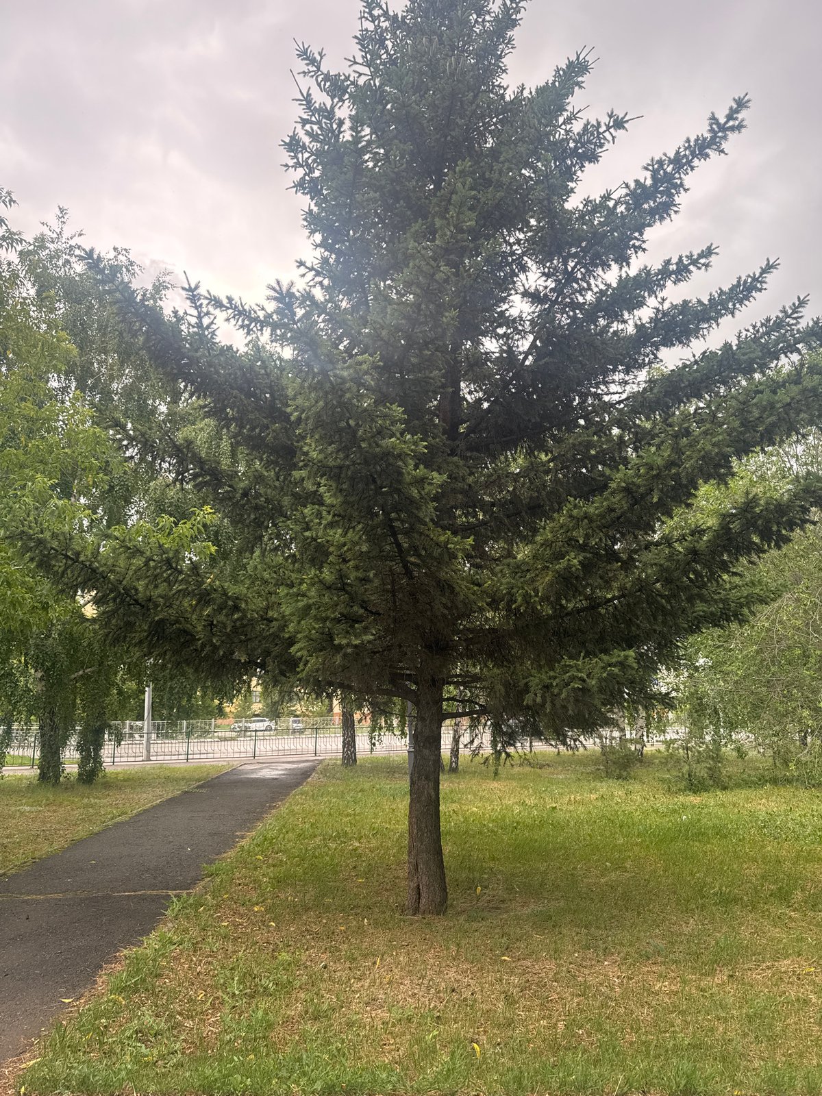 Morning walk through Kokshetau parks and mosque documented