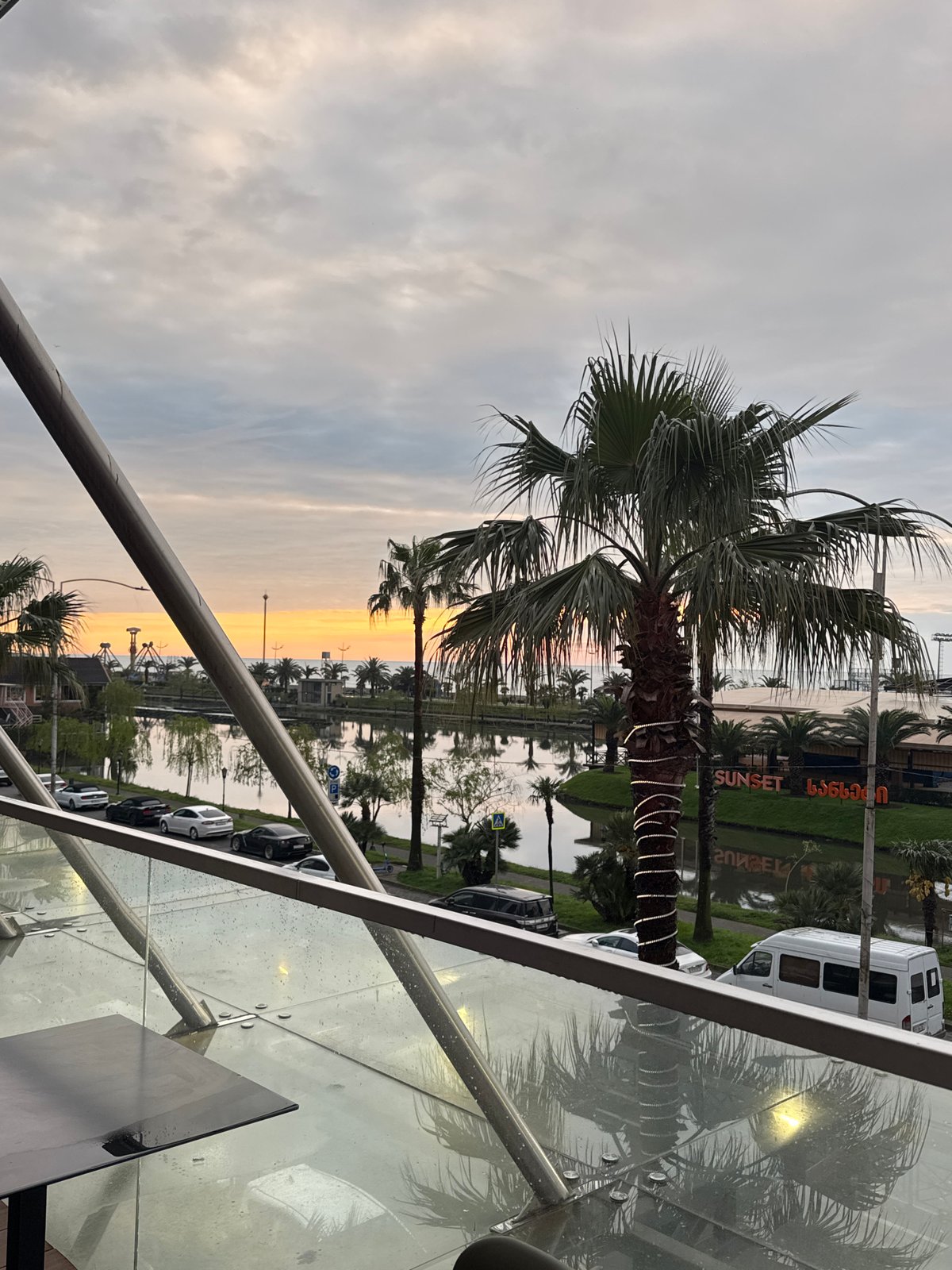 Evening moments captured in Batumi: sunset palms, decorated dogs