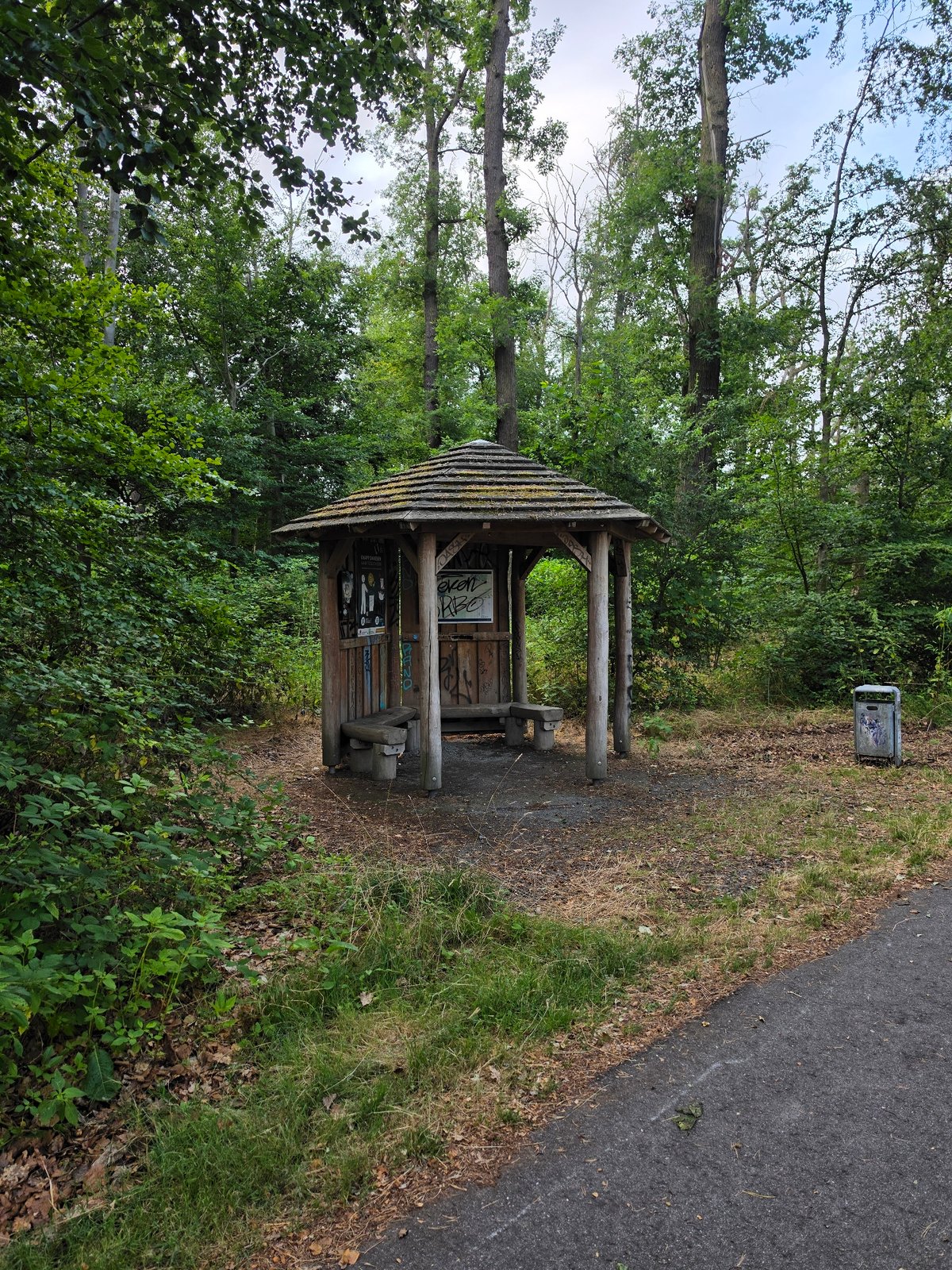 Lakeside woodland and old gazebo in Kelsterbach, Germany