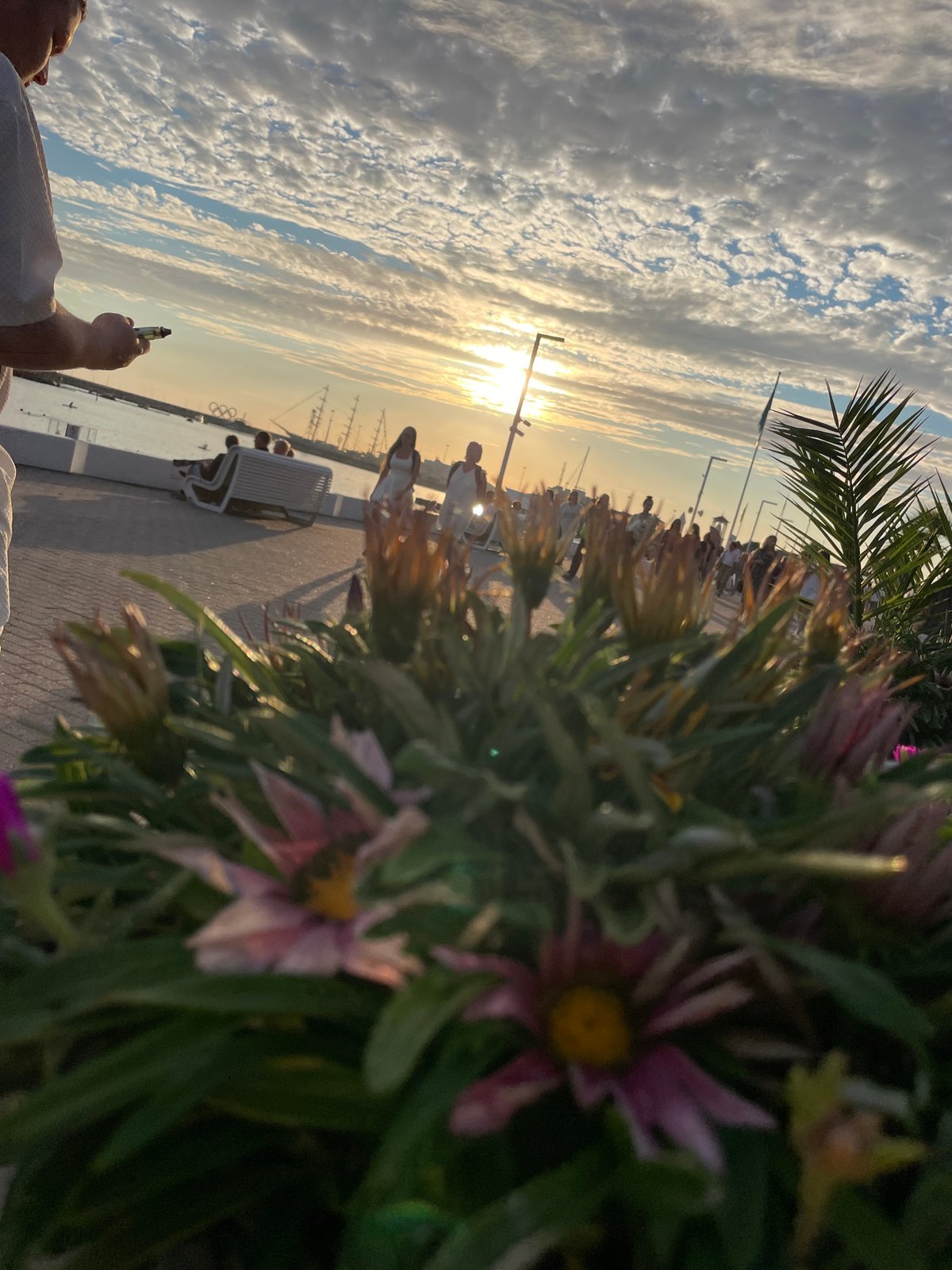 Summer evening on Sochi's Black Sea waterfront