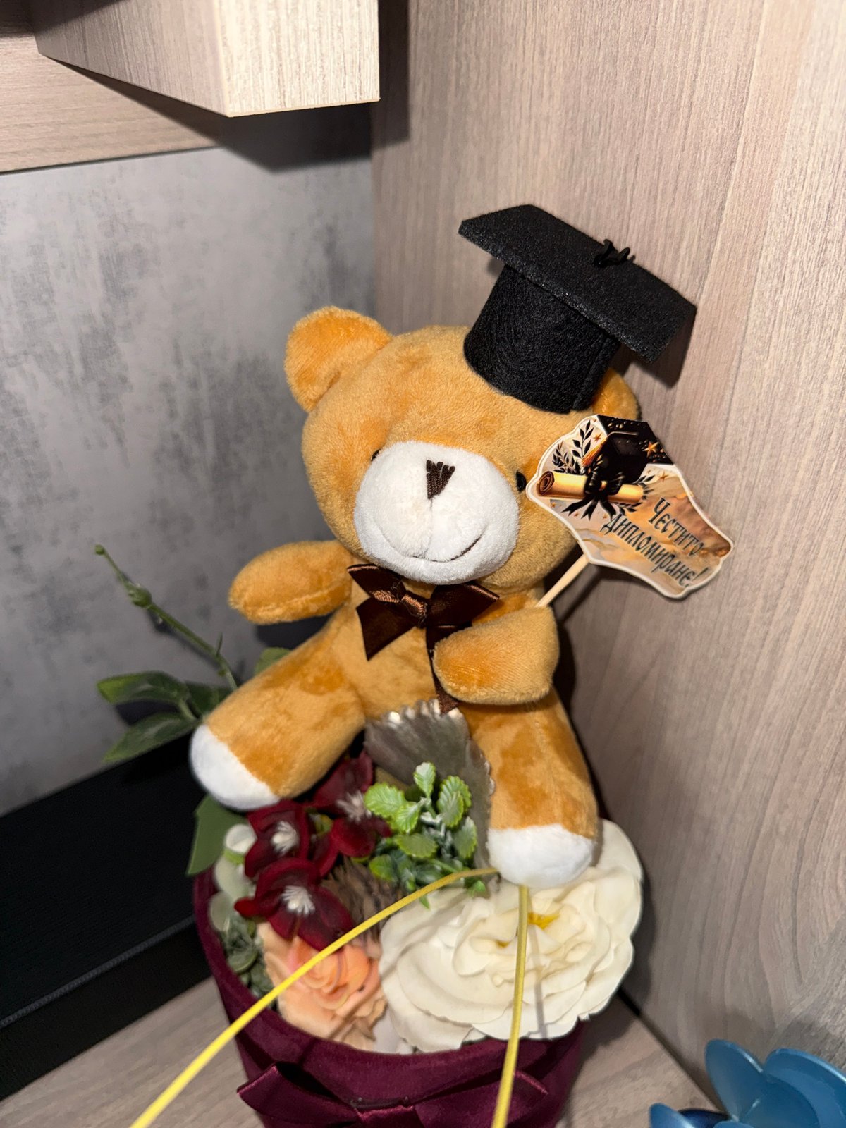 Graduation teddy bear display spotted in Lovech interior